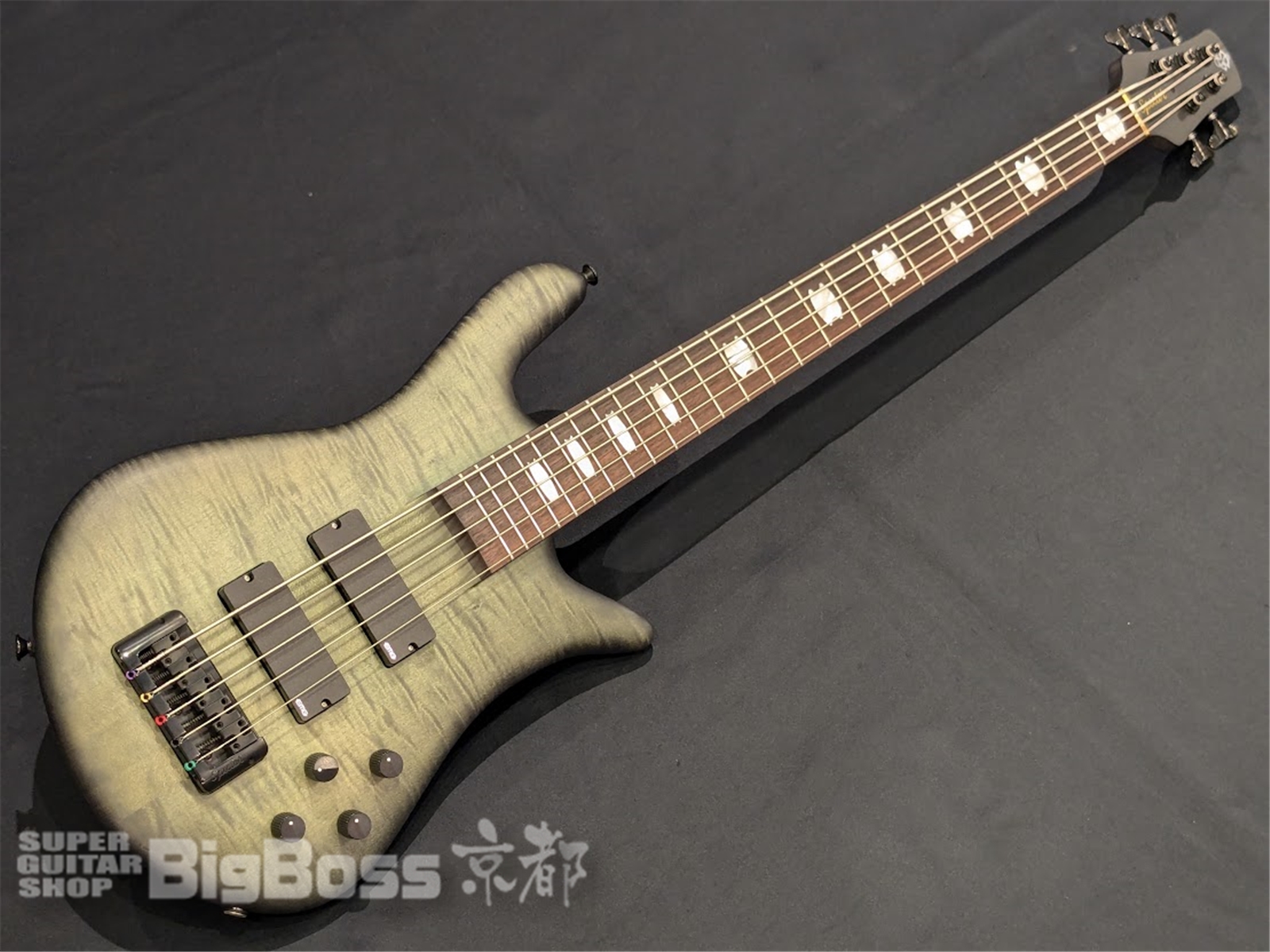 【即納可能】Spector(スペクター) Euro 5 LX neck-thru 2024 / Haunted Moss 京都店