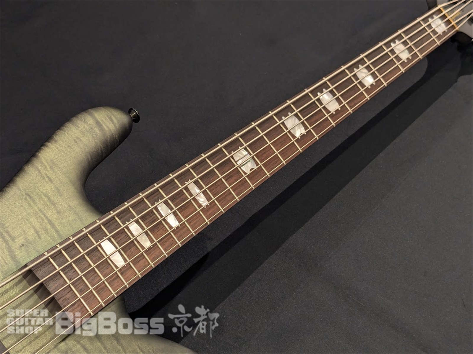 【即納可能】Spector(スペクター) Euro 5 LX neck-thru 2024 / Haunted Moss 京都店