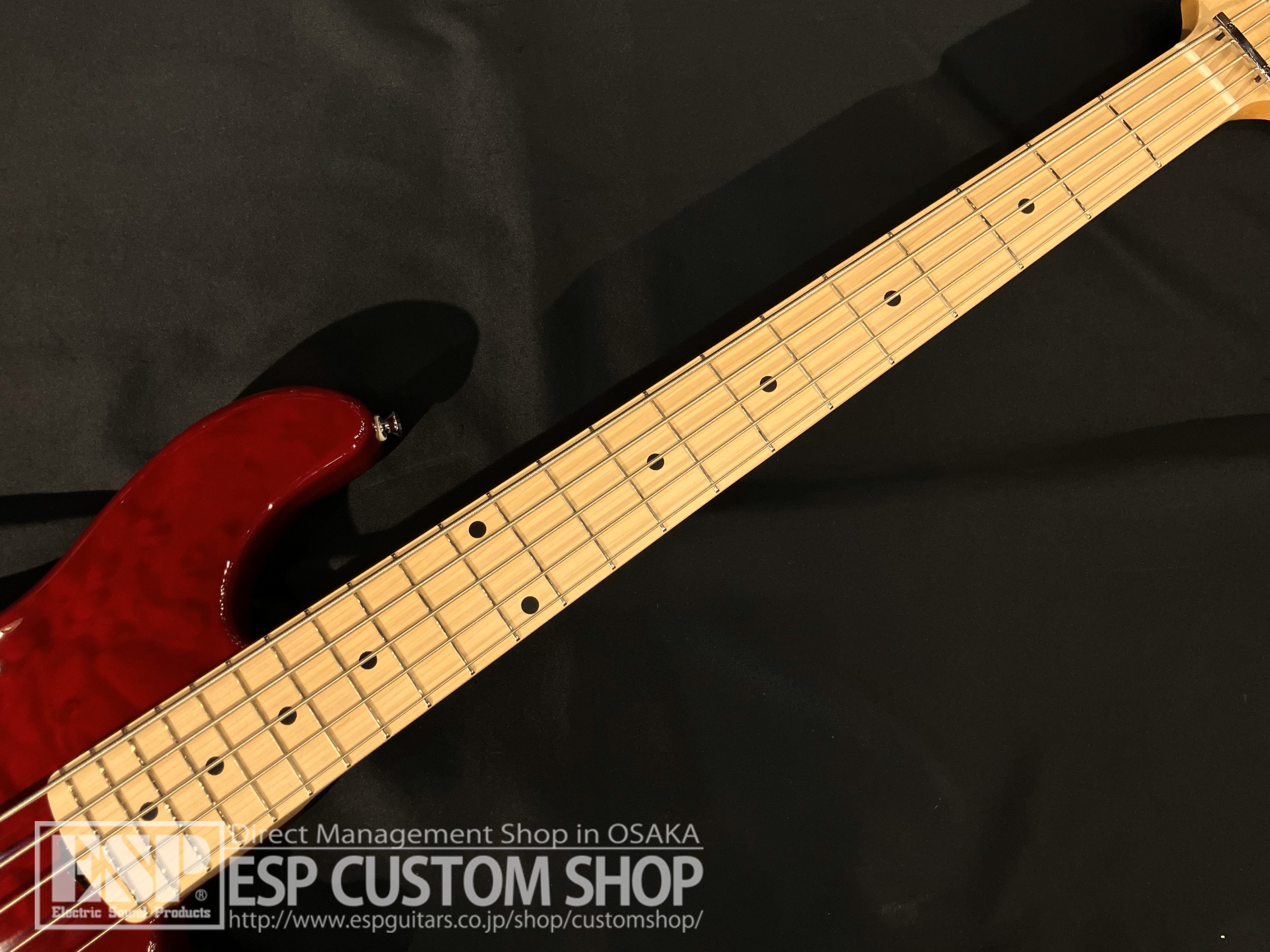 【即納可能】LAKLAND(レイクランド) SL55-94 Deluxe (Maple FB) / Burgundy Translucent 大阪店