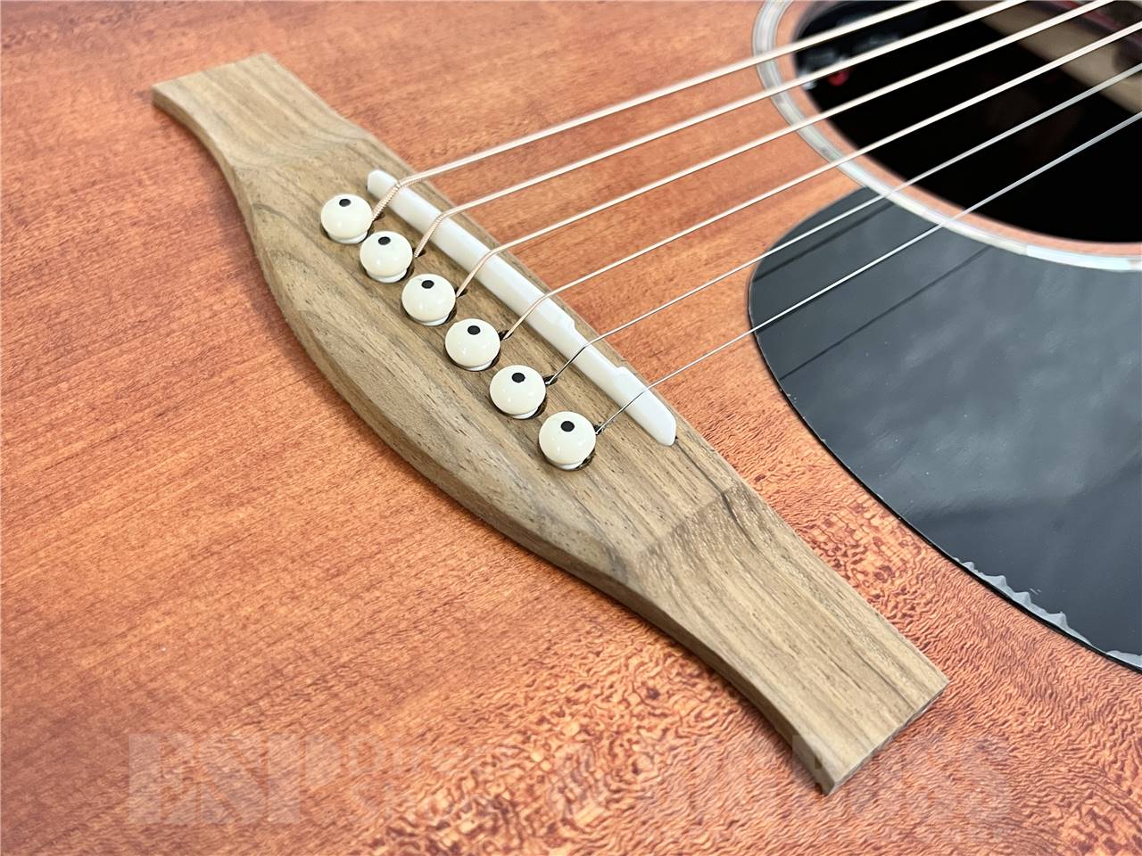 【即納可能】Eastman(イーストマン) PCH1-GACE-CLA (エレクトリック・アコースティック)お茶の水駅前店・別館 - 3