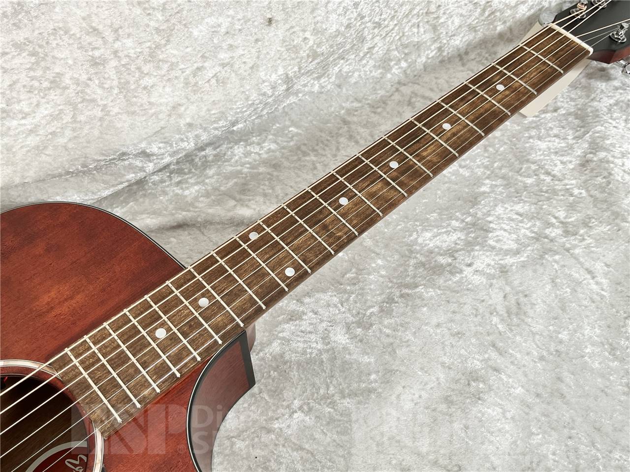 【即納可能】Eastman(イーストマン) PCH1-GACE-CLA (エレクトリック・アコースティック)お茶の水駅前店・別館 - 5