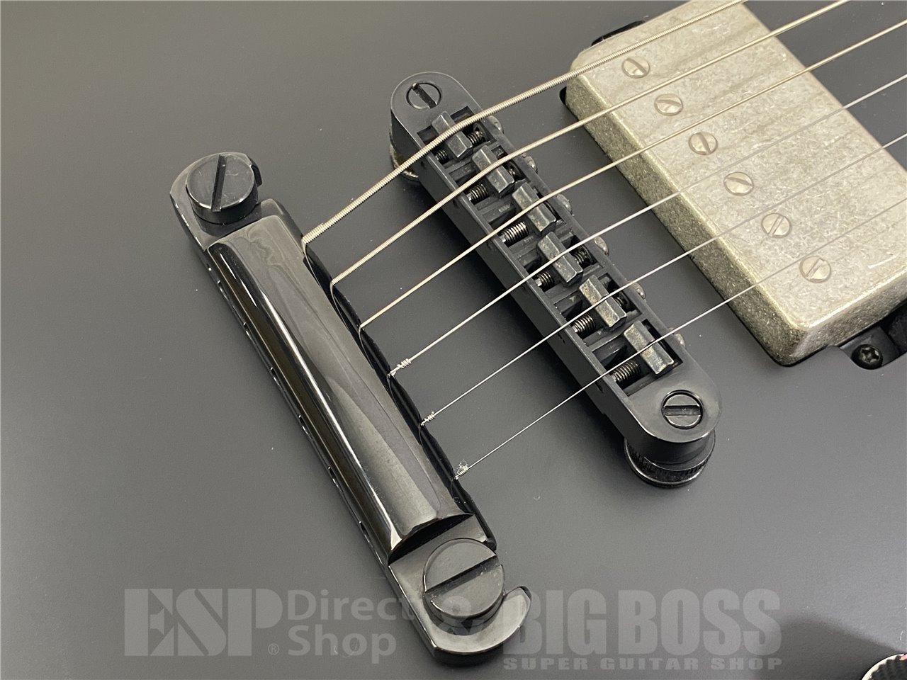 【即納可能】LTD(エルティーディー) EC-201 / BLACK SATIN お茶の水駅前店(東京)