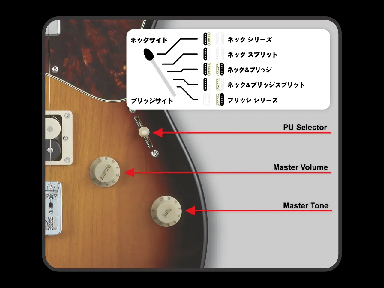 【受注生産】ESP(イーエスピー) TB SOLID-AL / 3 Tone Sunburst
