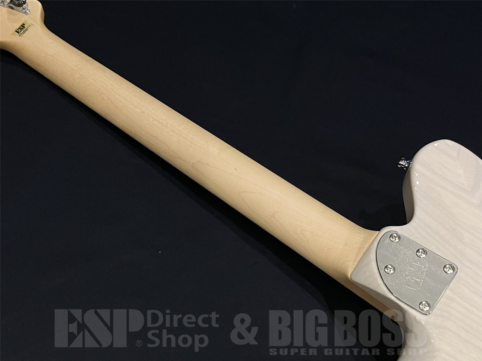 【即納可能】ESP(イーエスピー) TB SOLID-AS / See Thru White 京都店