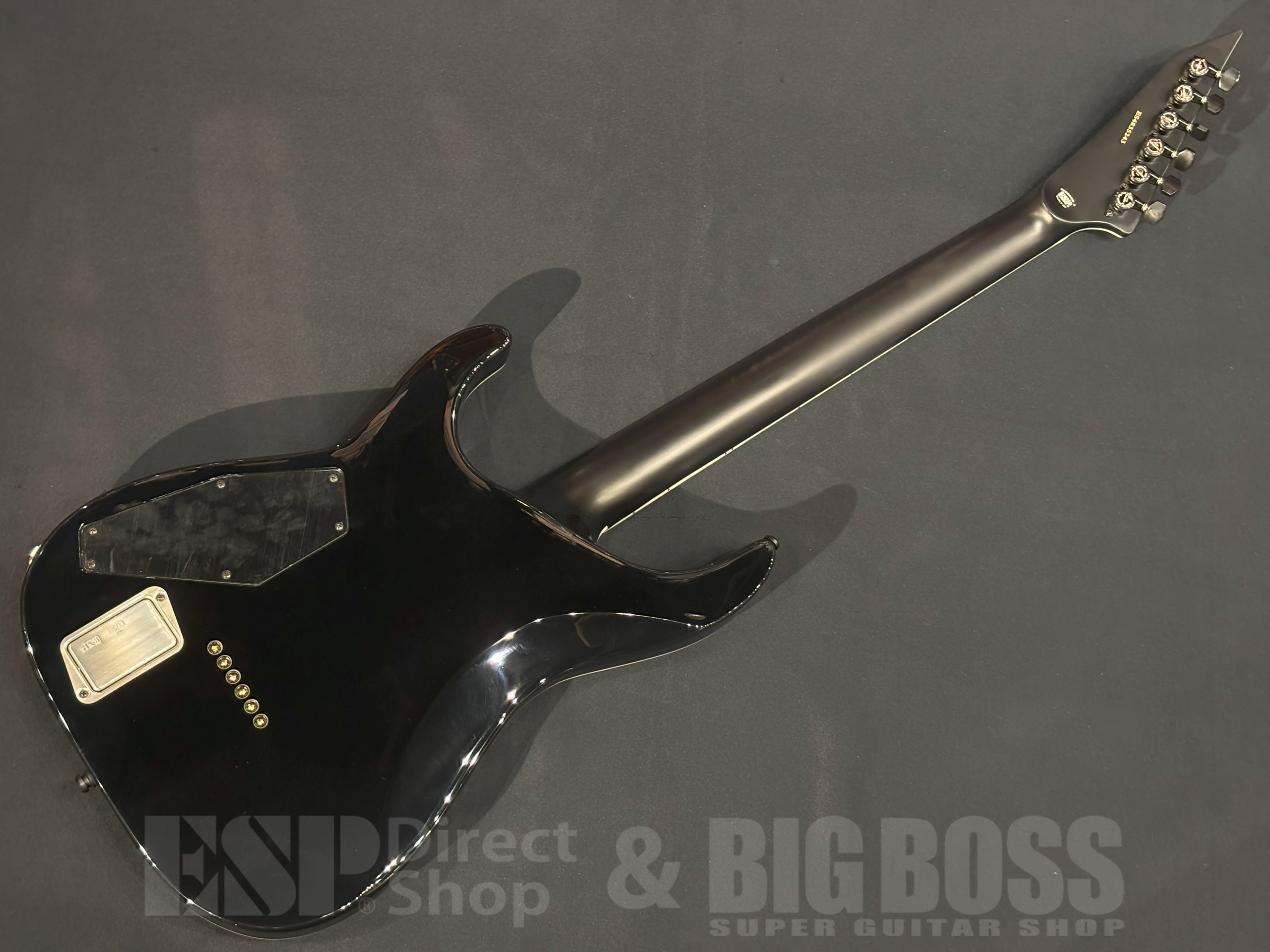 【即納可能】E-II(イーツー) HORIZON NT-II(ホライゾン) / See Thru Black Sunburst 大阪店