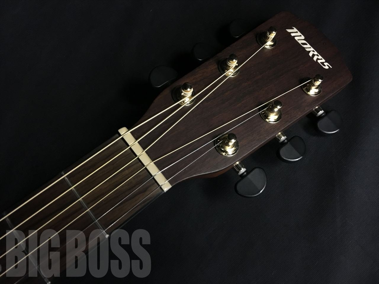 Morris(モーリス) SR-701 / NAT (アコースティックギター) | 【ESP直営