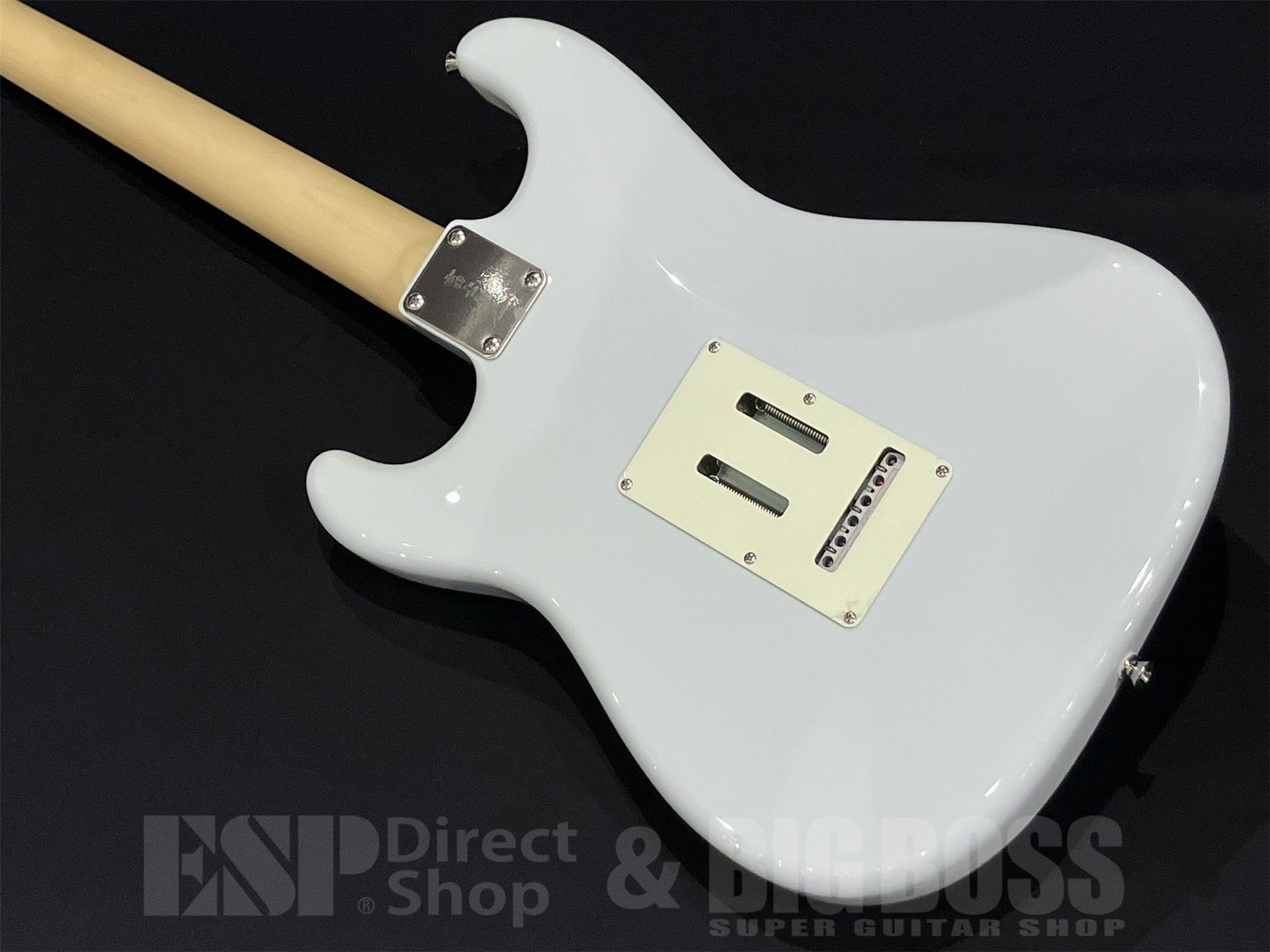 【即納可能】FUJIGEN(フジゲン) NST200RAL / Pale Sonic Blue 京都店