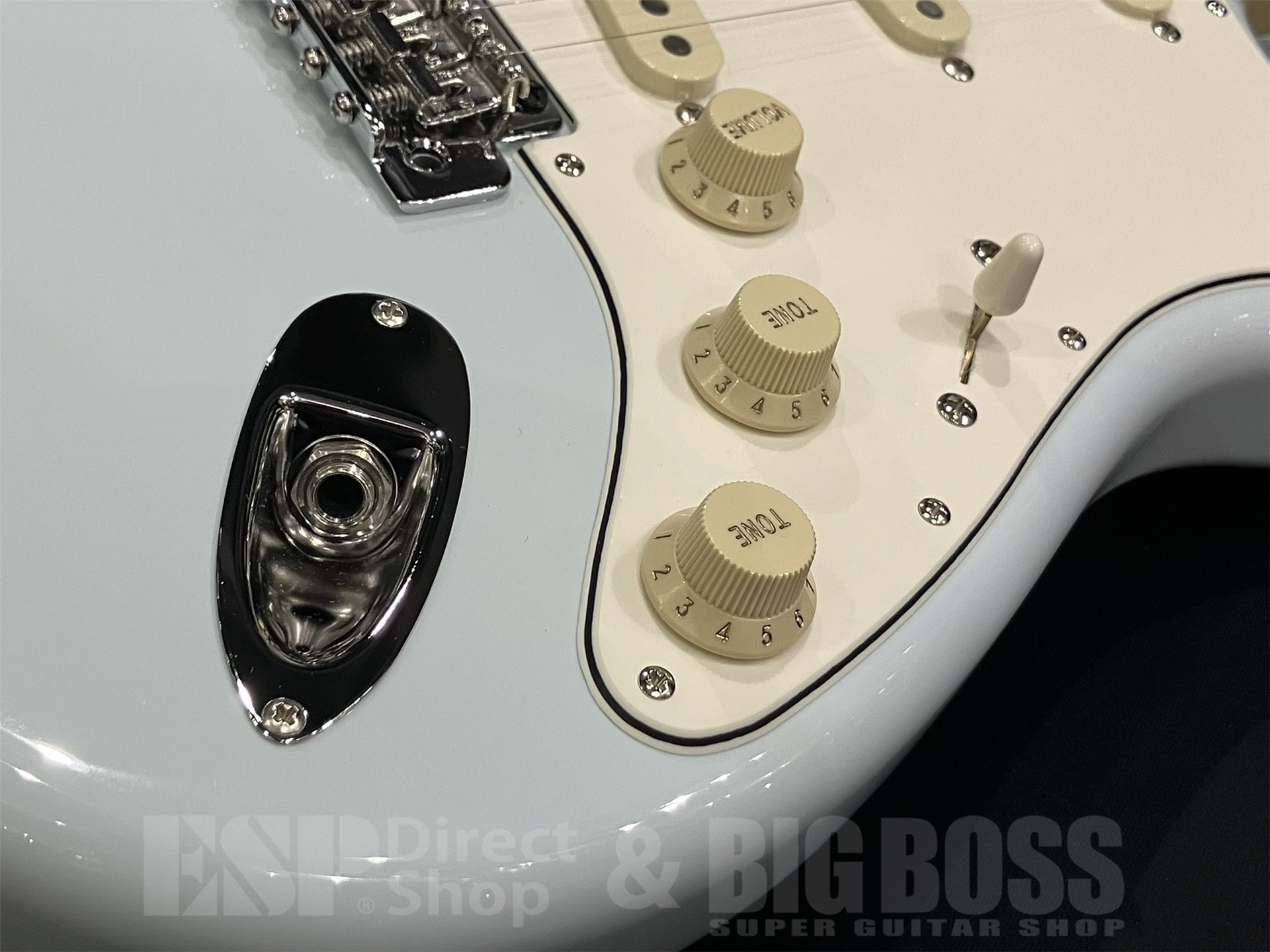 【即納可能】FUJIGEN(フジゲン) NST200RAL / Pale Sonic Blue 京都店