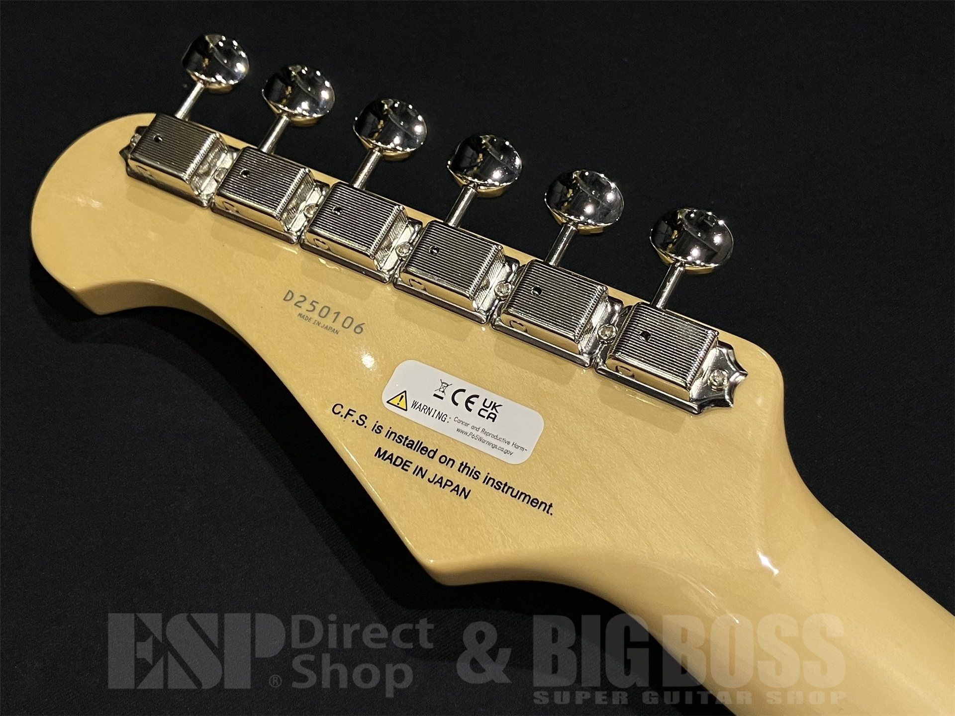 即納可能】FUJIGEN(フジゲン) NST200RAL / Pale Sonic Blue 京都