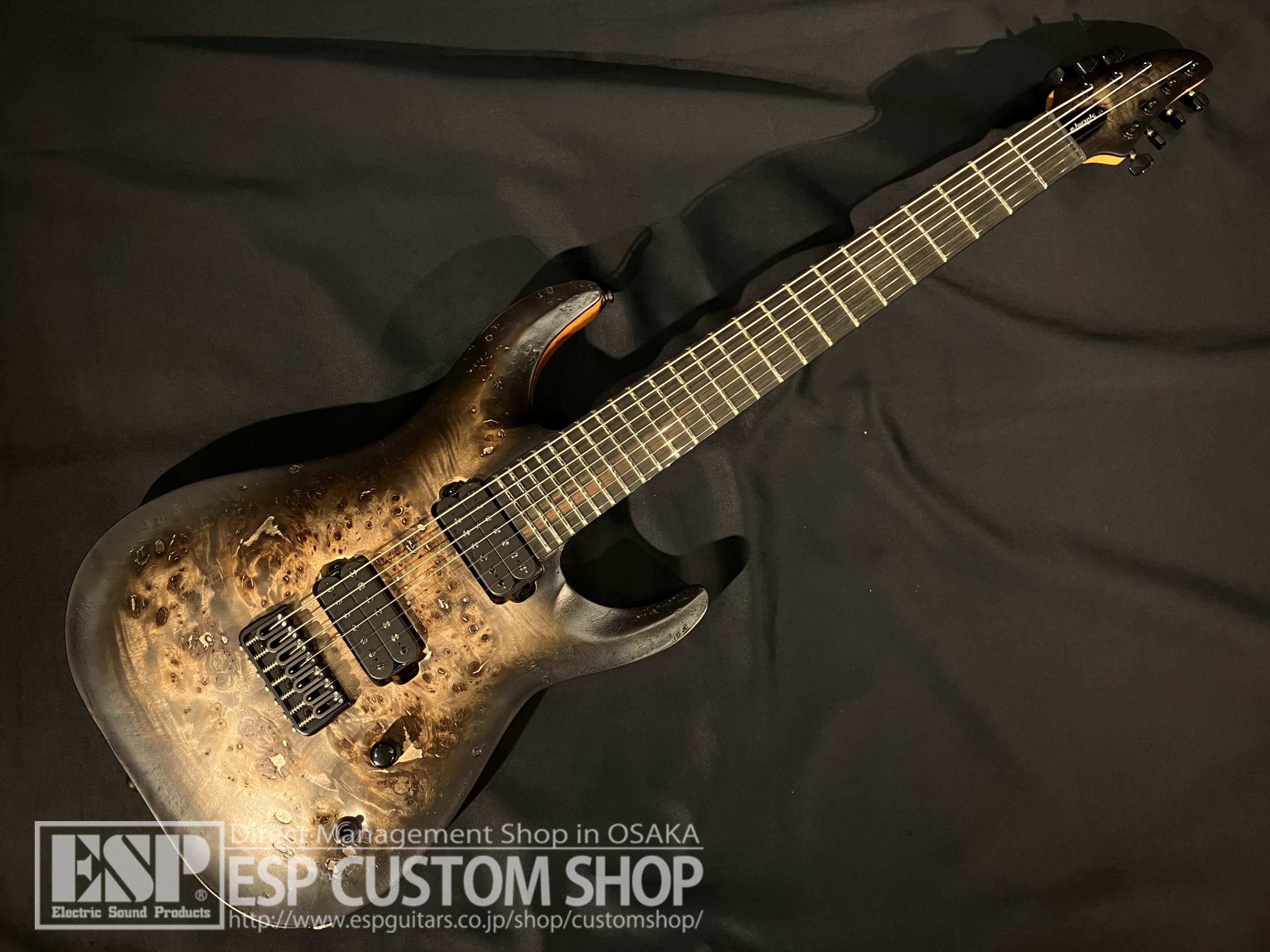 【即納可能】EDWARDS(エドワーズ) E-HR7-FX/BM(ホライゾン) / Black Burst 大阪店