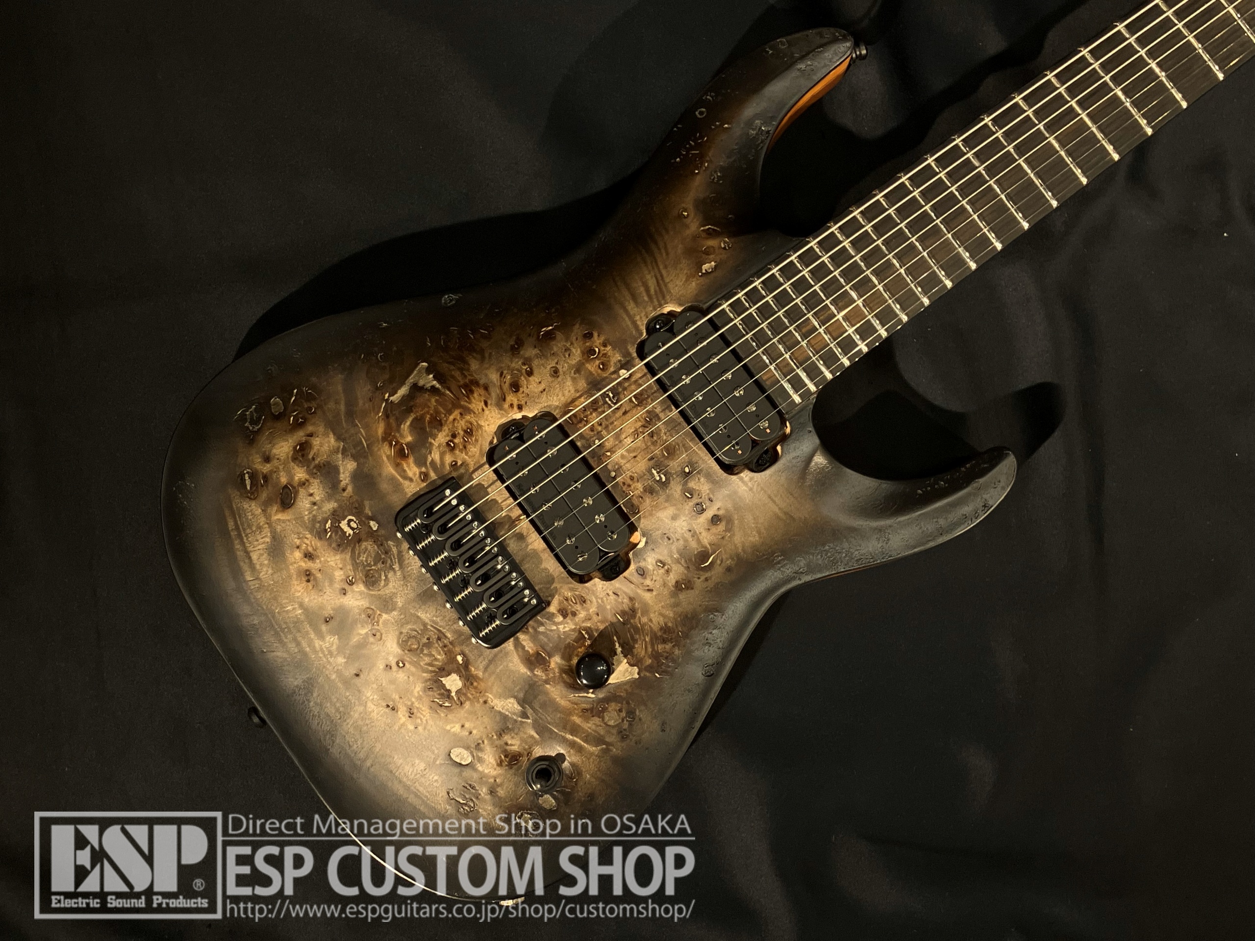 【即納可能】EDWARDS(エドワーズ) E-HR7-FX/BM(ホライゾン) / Black Burst 大阪店