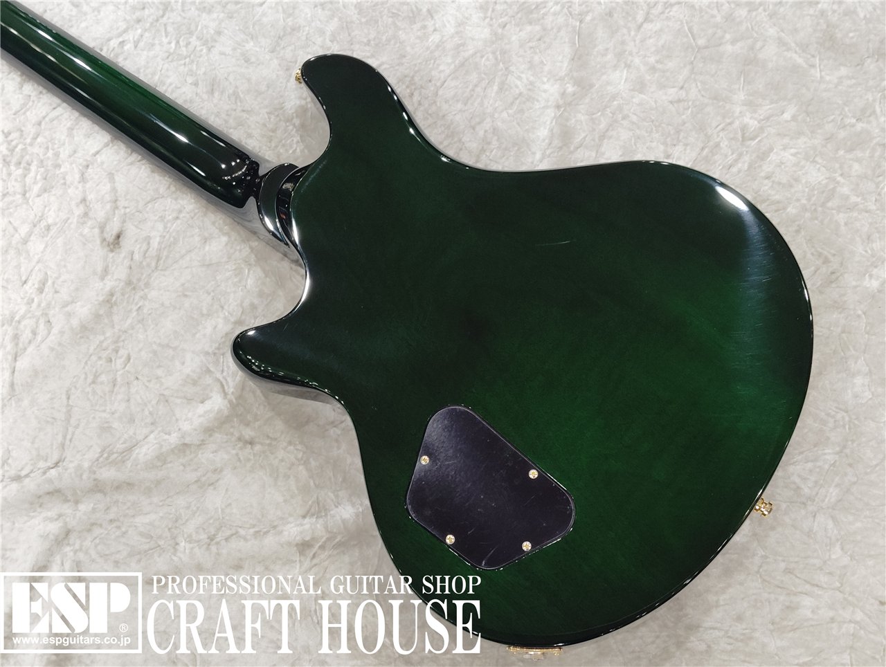 【即納可能】EDWARDS E-U-HL2 / Malachite Green　渋谷店