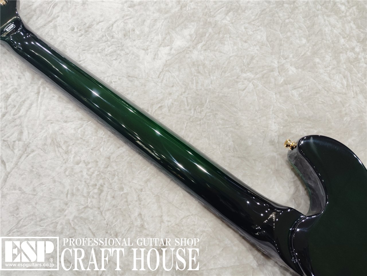 【即納可能】EDWARDS E-U-HL2 / Malachite Green　渋谷店