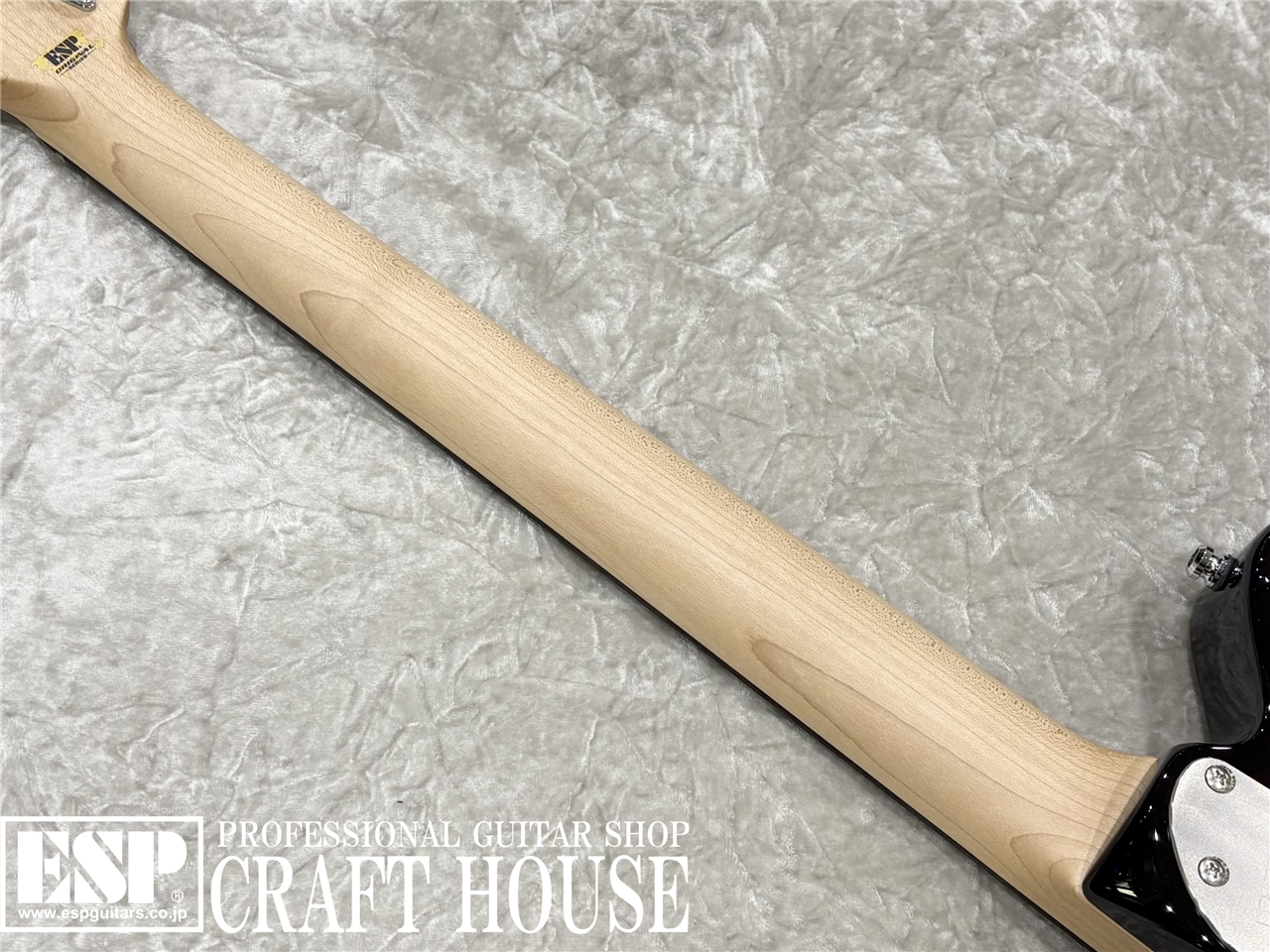 【即納可能】ESP TB SOLID-AL / 3 Tone Sunburst　渋谷店