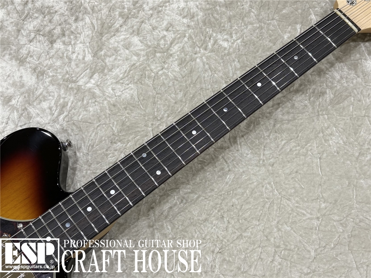 【即納可能】ESP TB SOLID-AL / 3 Tone Sunburst　渋谷店