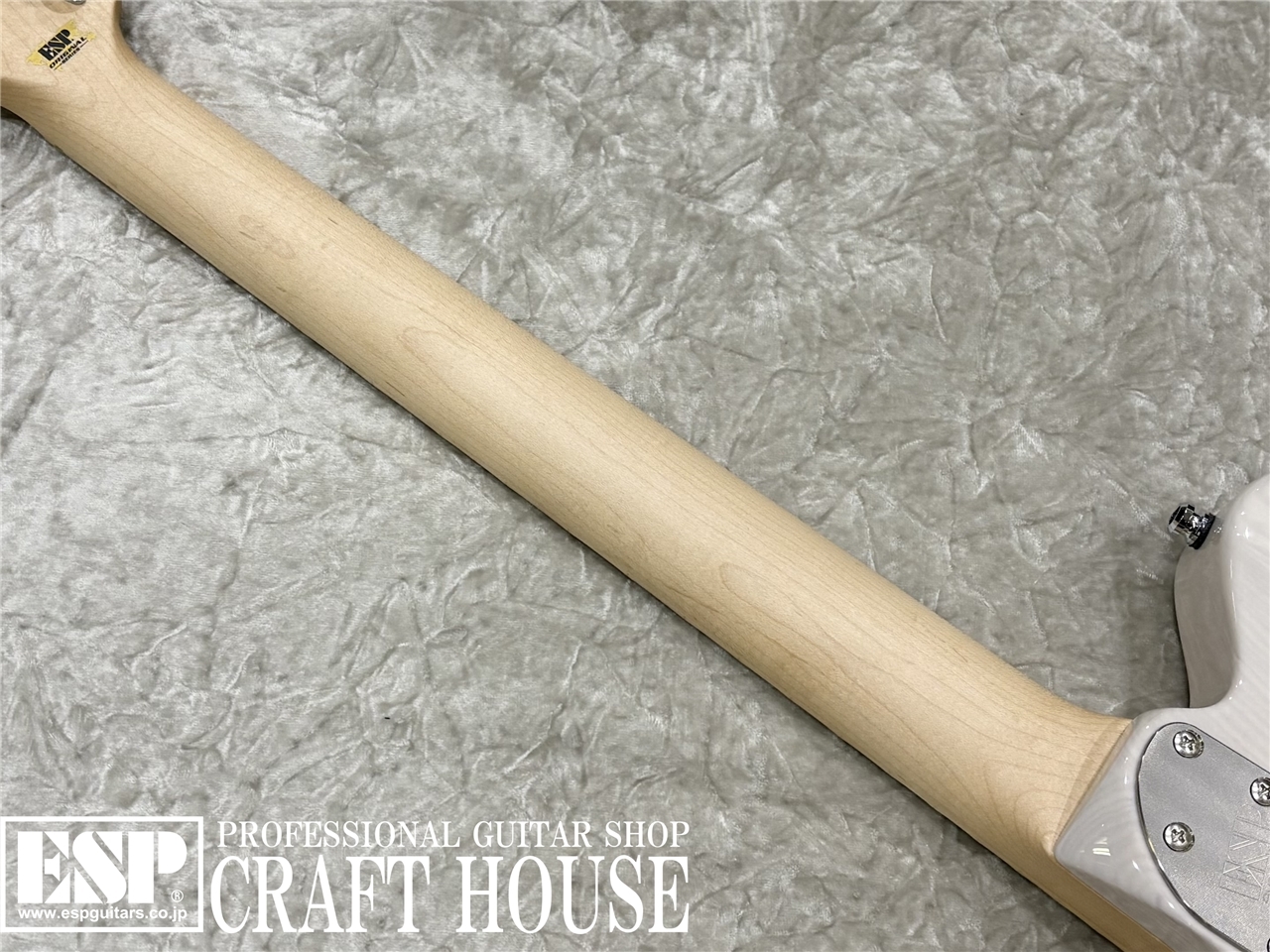 【即納可能】ESP TB SOLID-AS / See Thru White　渋谷店