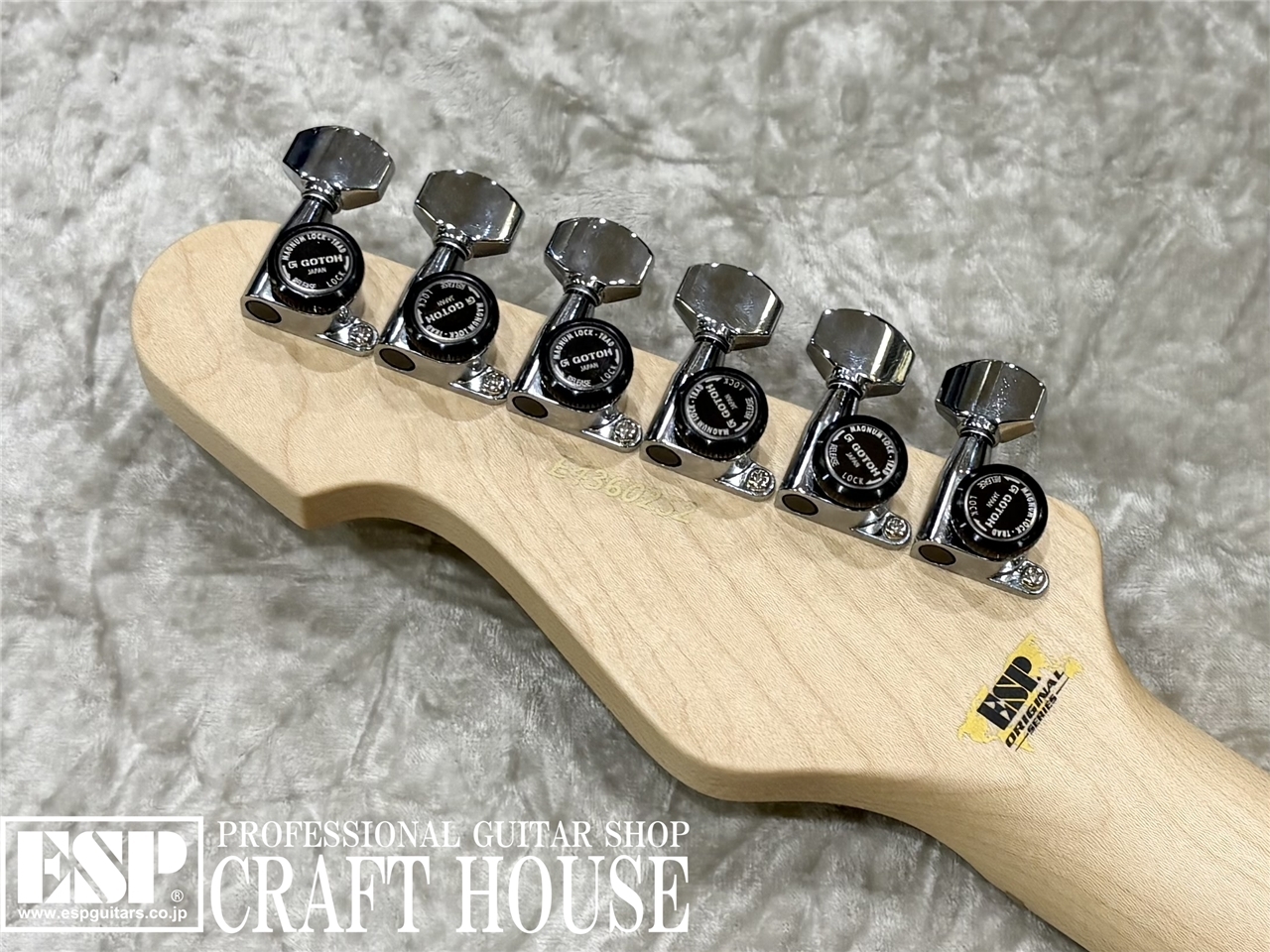 【即納可能】ESP TB SOLID-AS / See Thru White　渋谷店