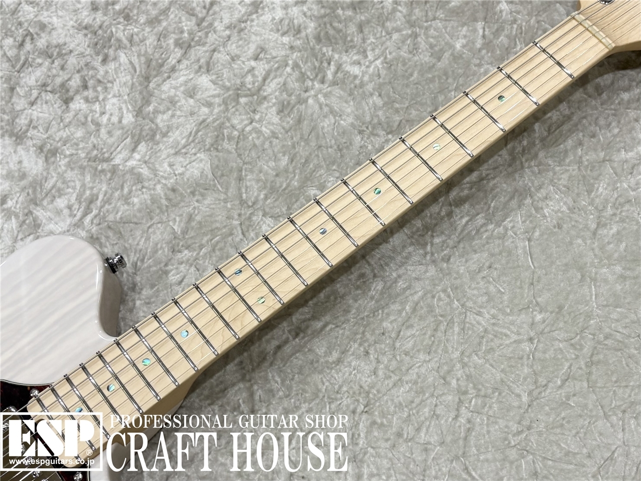 【即納可能】ESP TB SOLID-AS / See Thru White　渋谷店