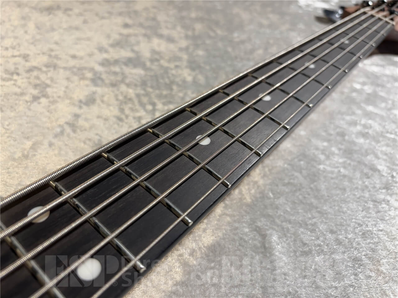 【即納可能】Sterling by MUSIC MAN(スターリンバイミュージックマン) DarkRay5 (Black) 札幌店 - 4