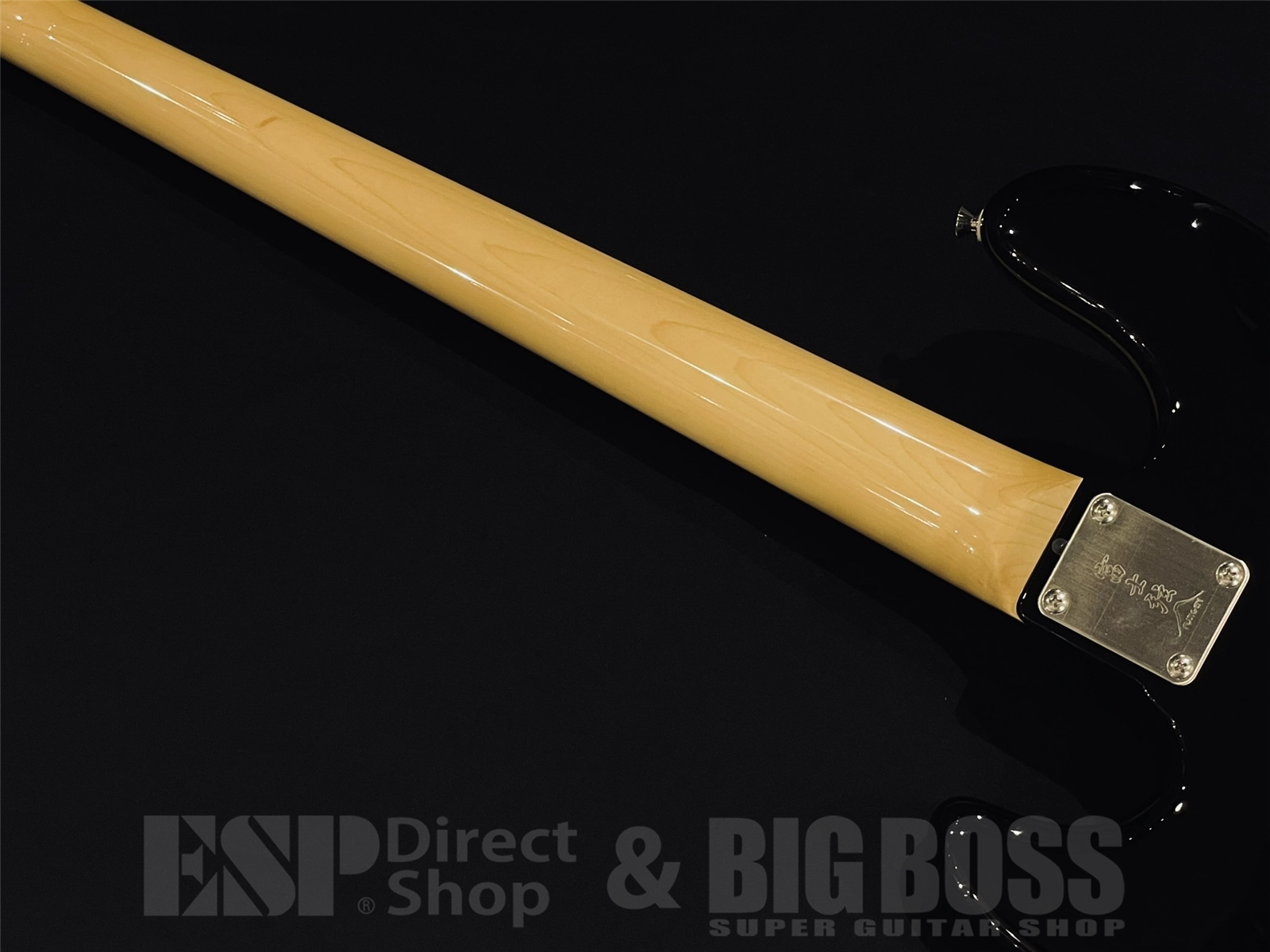 【即納可能】FUJIGEN(フジゲン) NJB100RAL / Black 京都店 - 10