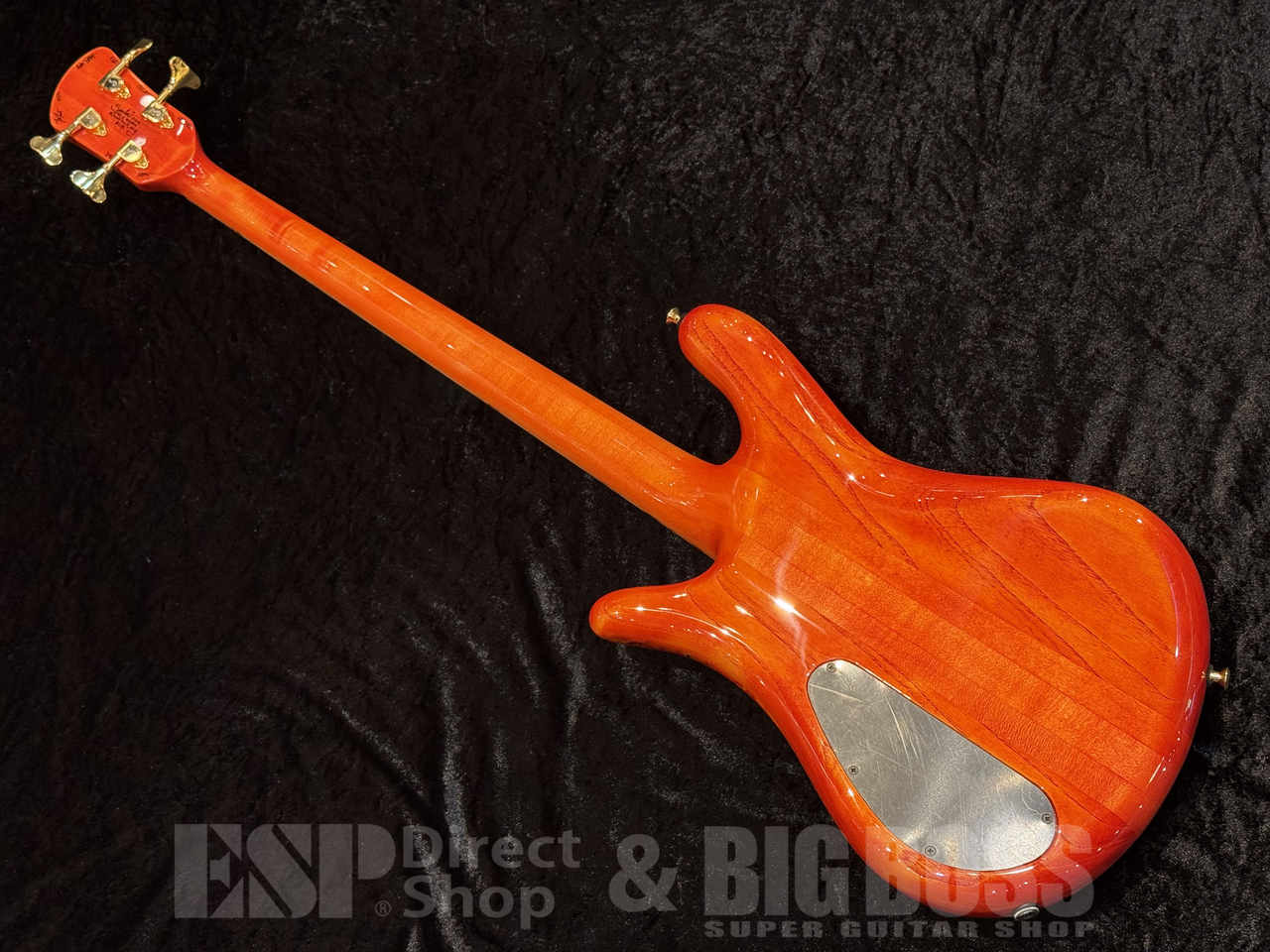 【ご商談専用】Spector Custom Shop NS-2 Maple Burl【Inferno Red】福岡店 - 8