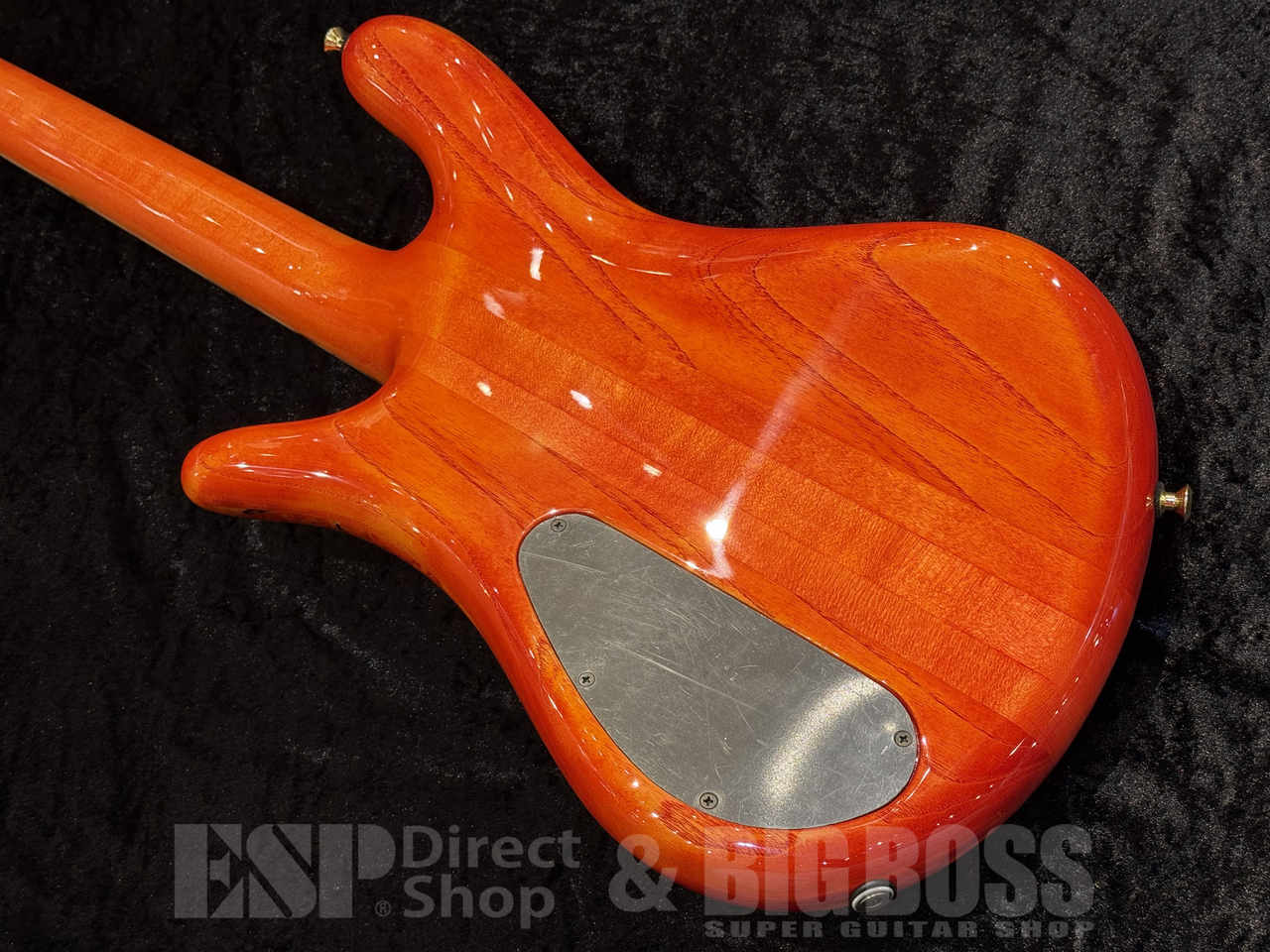 【ご商談専用】Spector Custom Shop NS-2 Maple Burl【Inferno Red】福岡店 - 10