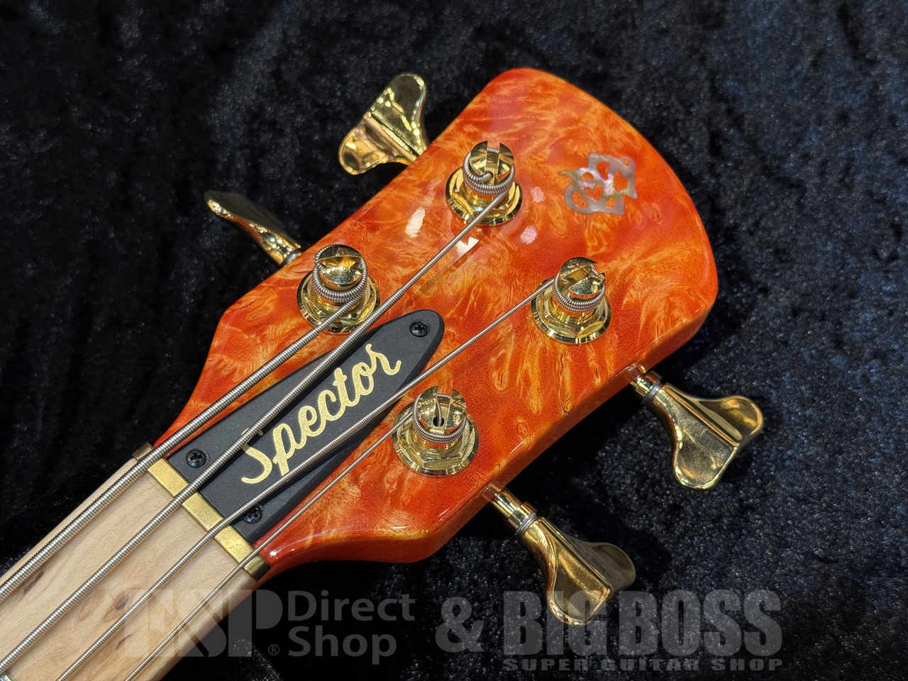 【ご商談専用】Spector Custom Shop NS-2 Maple Burl【Inferno Red】福岡店 - 7