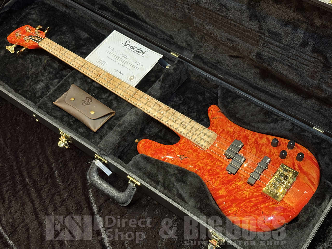 【ご商談専用】Spector Custom Shop NS-2 Maple Burl【Inferno Red】福岡店