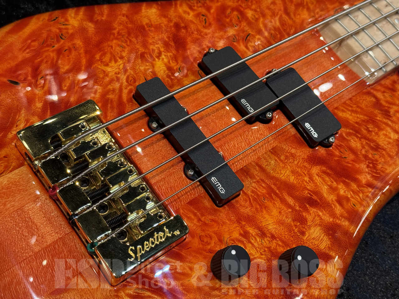 【ご商談専用】Spector Custom Shop NS-2 Maple Burl【Inferno Red】福岡店 - 3