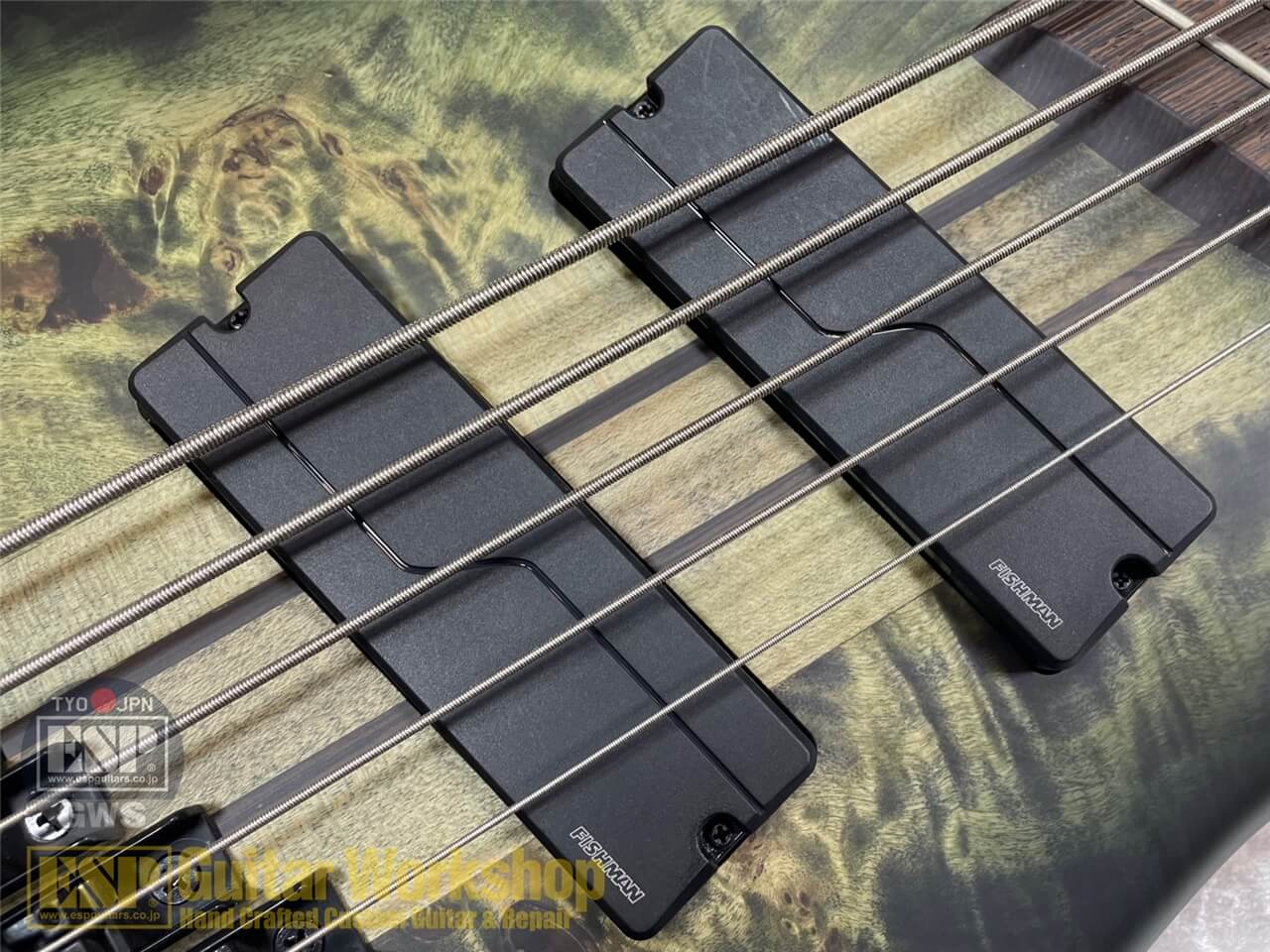 【即納可能】Spector NS Dimension 5 / Haunted Moss Matte  GWS