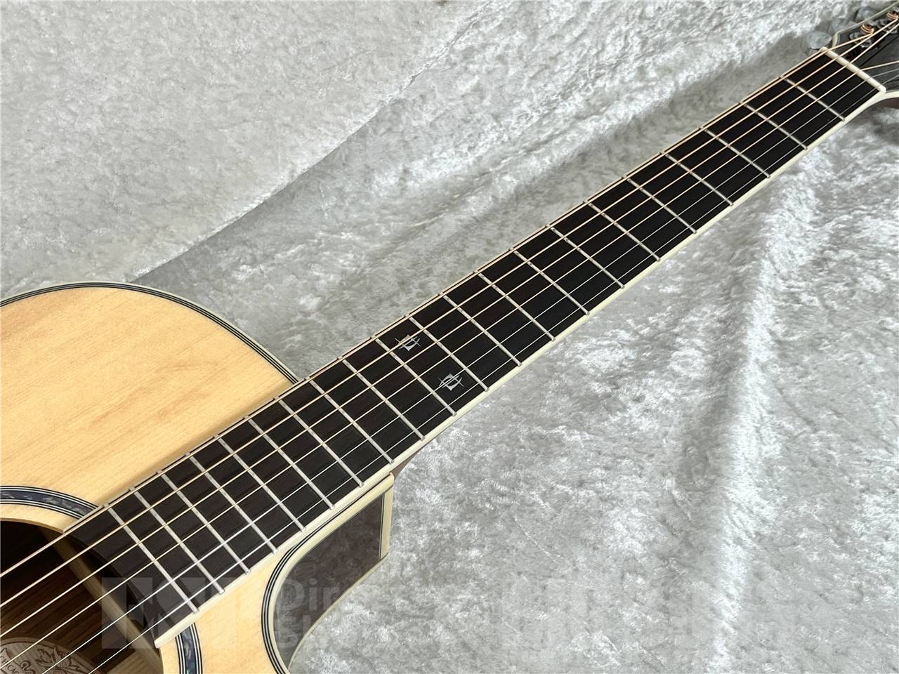 【即納可能】Washburn EA20S-NUNO BETTENCOURT(エレクトリックアコースティックギター) お茶の水駅前店・別館 - 5
