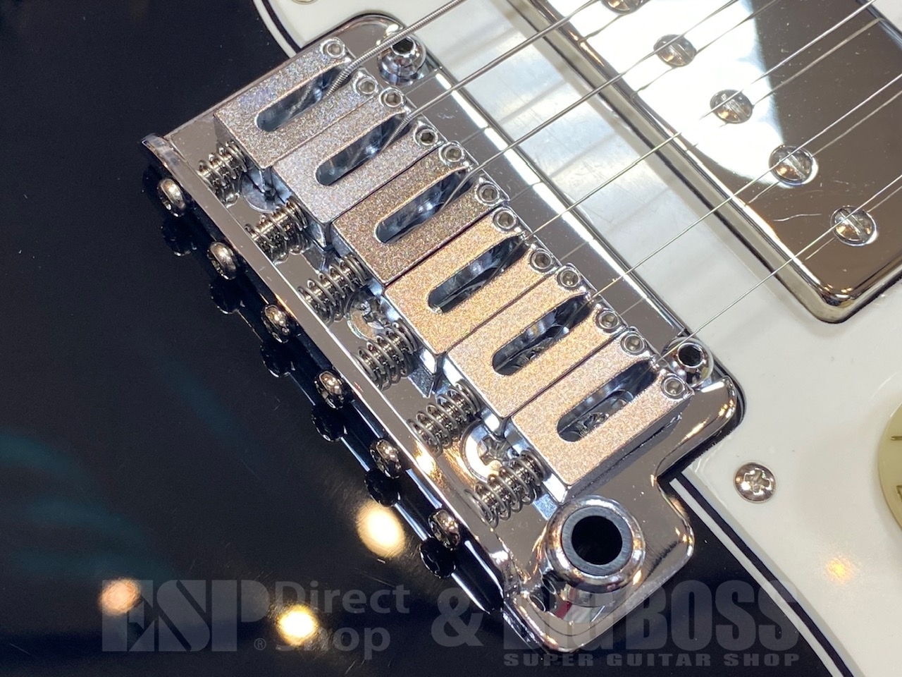 【即納可能】EDWARDS E-SNAPPER-AL/R/Black GWS - 5