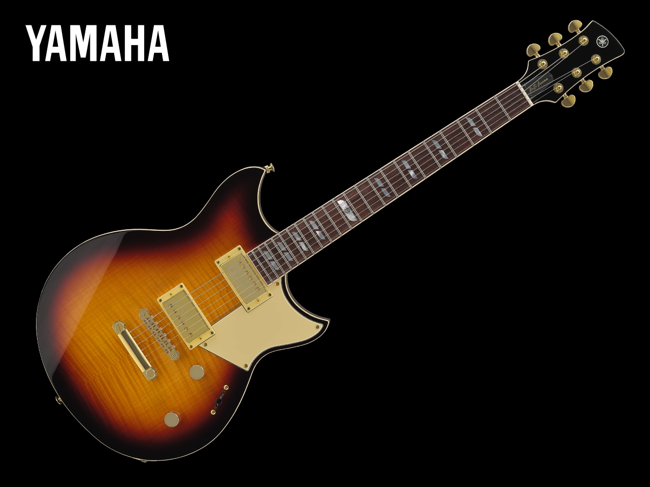 【お取寄せ商品】YAMAHA RS20MM