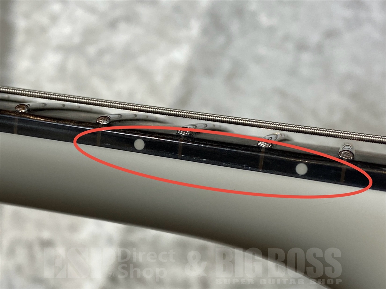【即納可能】E-II EX-NT/Snow white GWS - 9