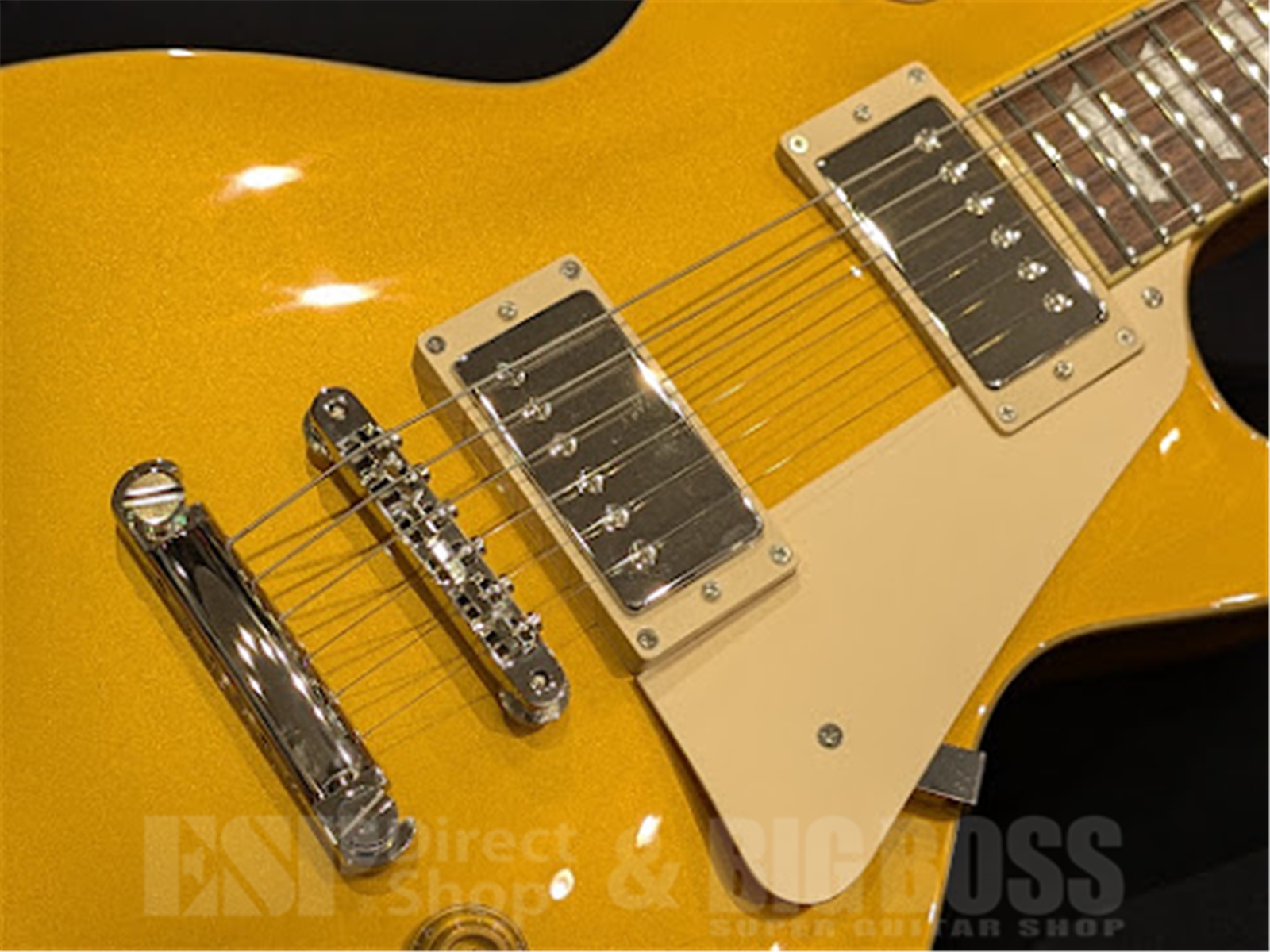 【即納可能】EDWARDS(エドワーズ) E-LP-STD / Gold Top 京都店