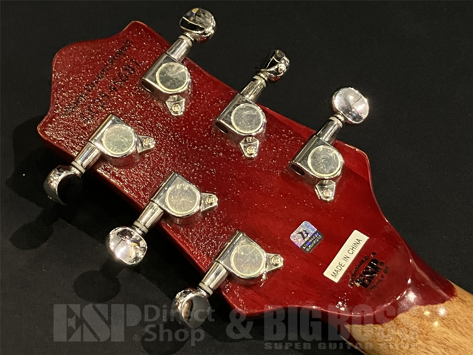 【USED/即納可能】【ESP×バンドリ！ ガールズバンドパーティ！ コラボレーション】BanG Dream!(バンドリ！) POTBELLY FM Rāna / Distressed See Thru Wine Red 京都店 - 11