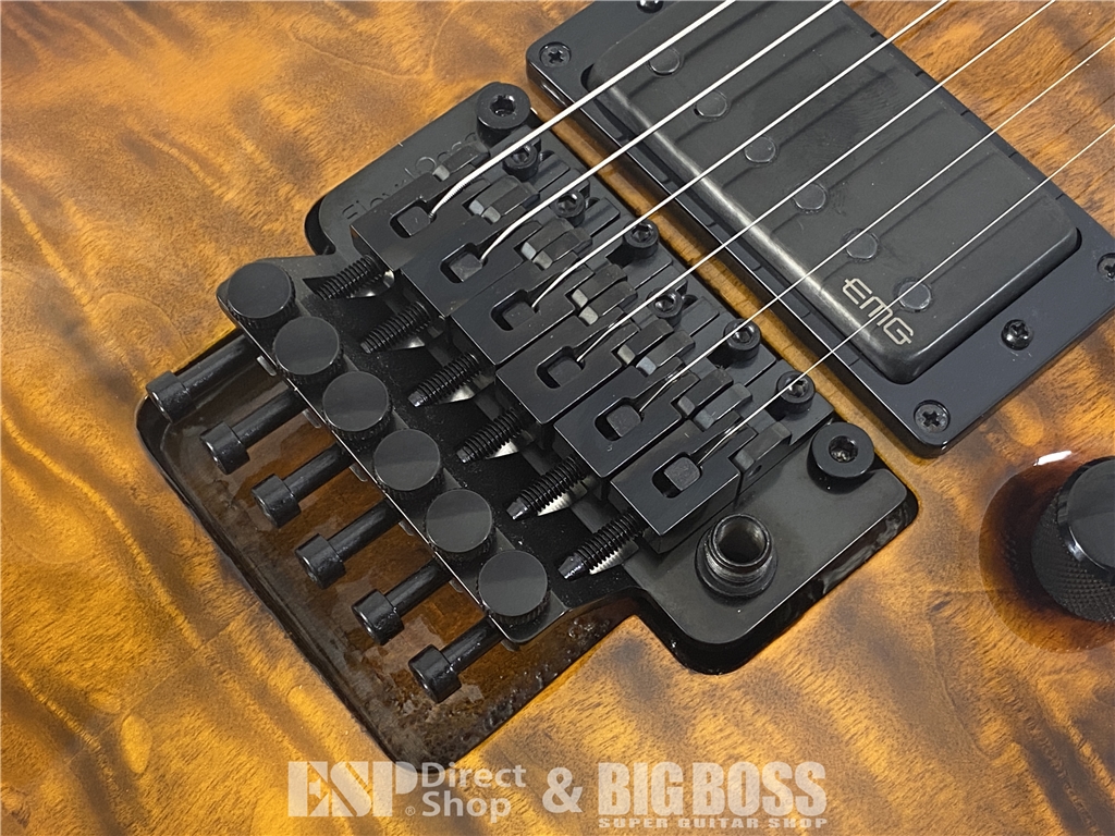 【即納可能】E-II(イーツー) HORIZON FR-II / Tiger Eye Sunburst お茶の水駅前店(東京) - 5