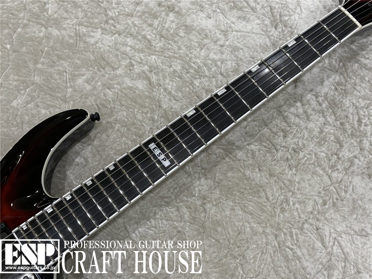 ギター SOMNUS by TUNE TG-120SX mt0159791_m.jpg