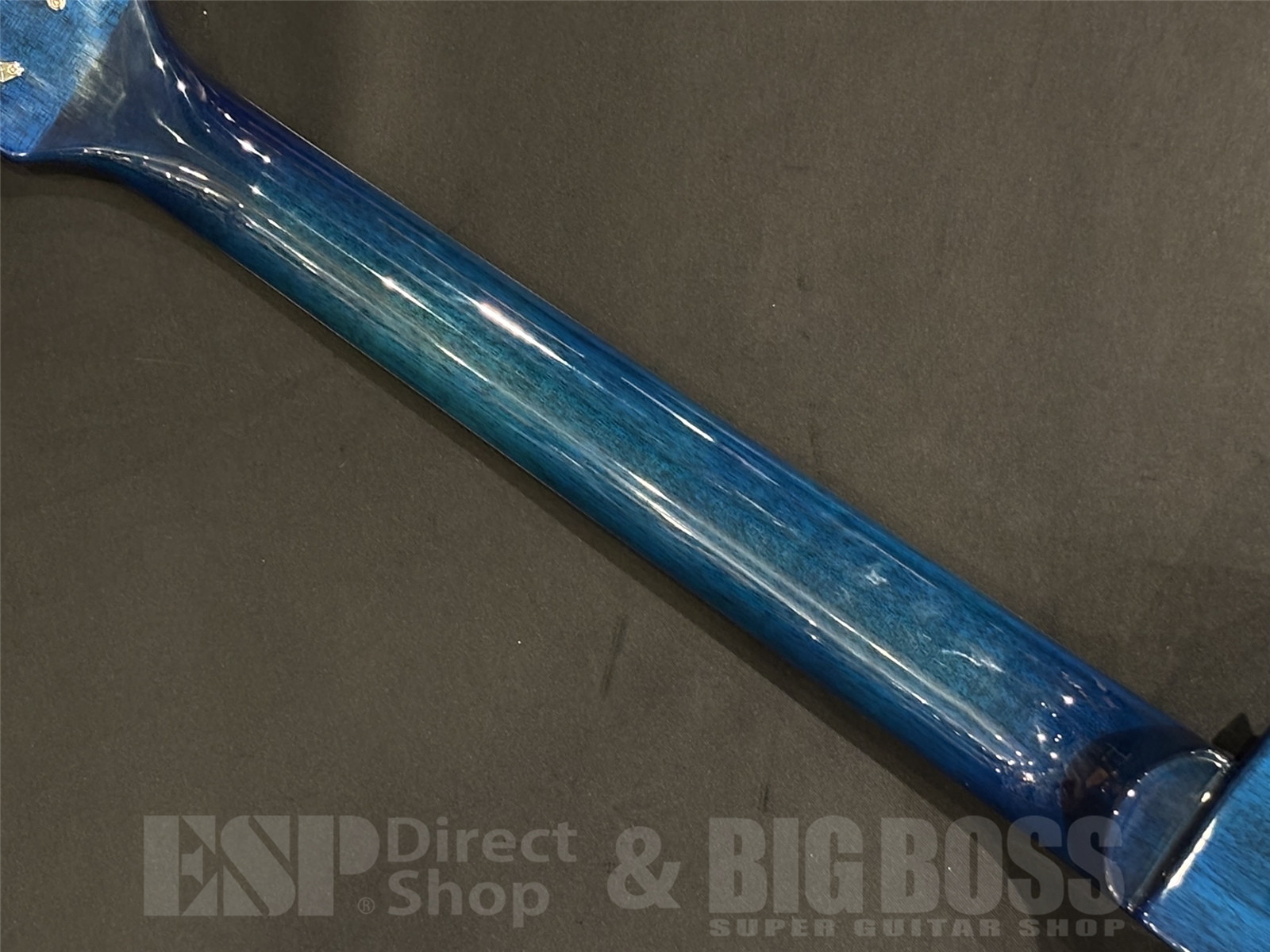 【USED/即納可能】Bacchus(バッカス) BLP-BP/R / Blue Burst 京都店 - 10