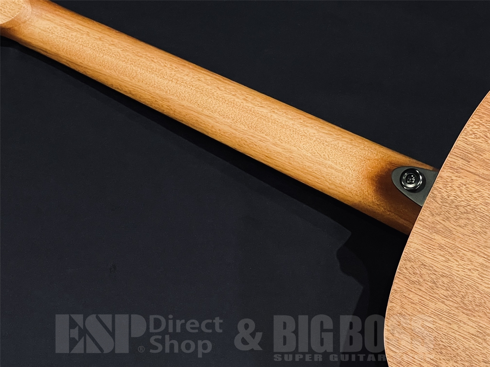 【即納可能】LAG Guitars(ラグギターズ) T70A / Natural 京都店 - 10