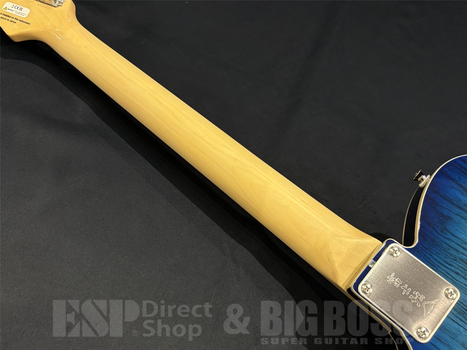 【即納可能】FUJIGEN(フジゲン) NTE210RAH / See-Thru Blue Burst京都店 - 10