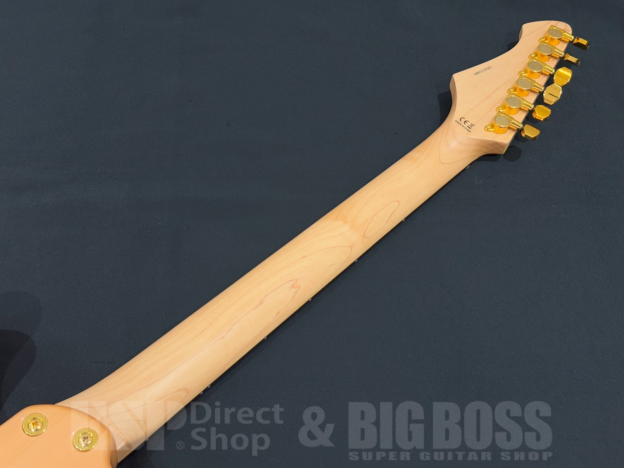 【即納可能/アウトレット】Aria Pro II TEG-780 / Natural 大阪店