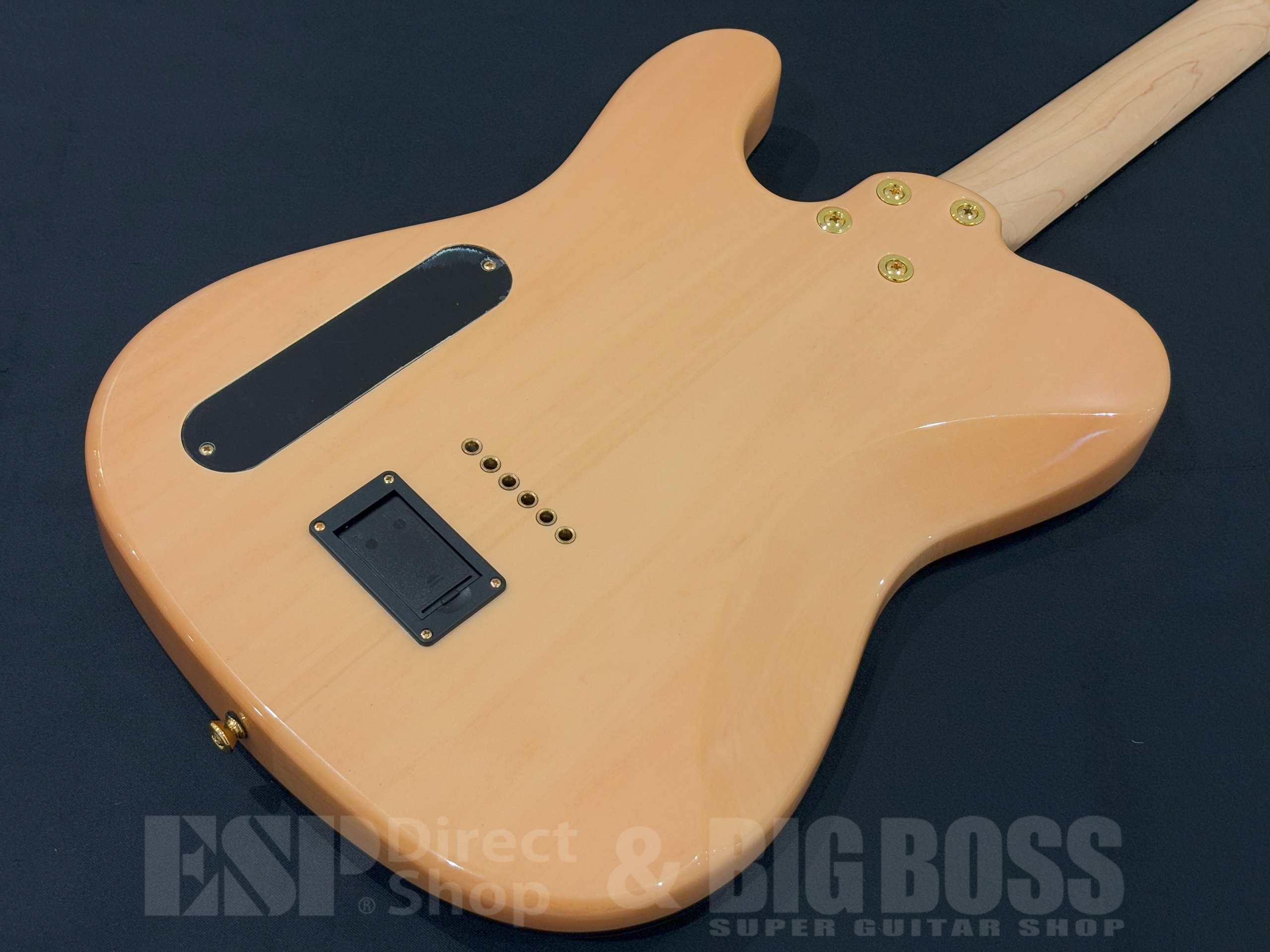 【即納可能/アウトレット】Aria Pro II TEG-780 / Natural 大阪店