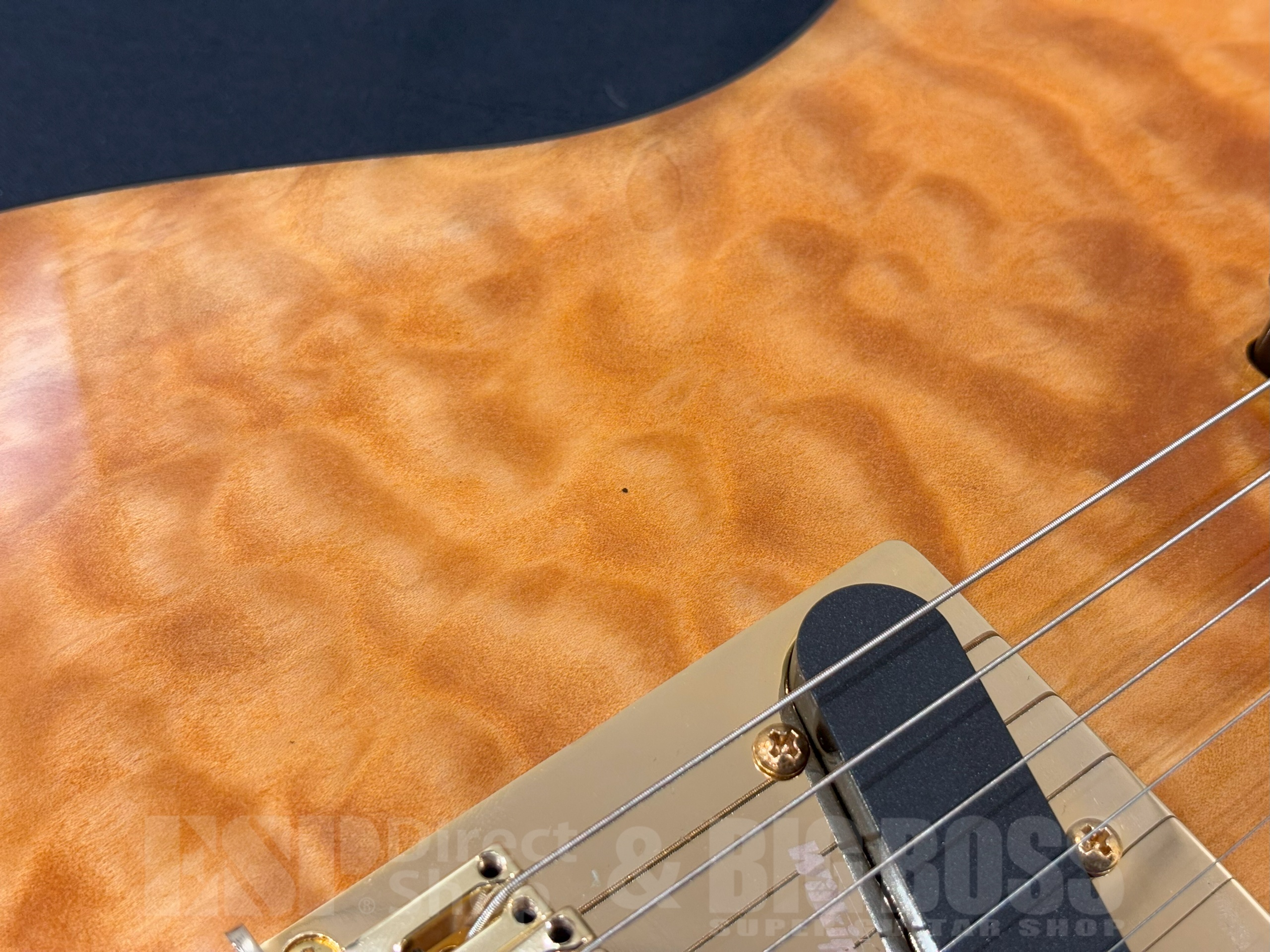 【即納可能/アウトレット】Aria Pro II TEG-780 / Natural 大阪店