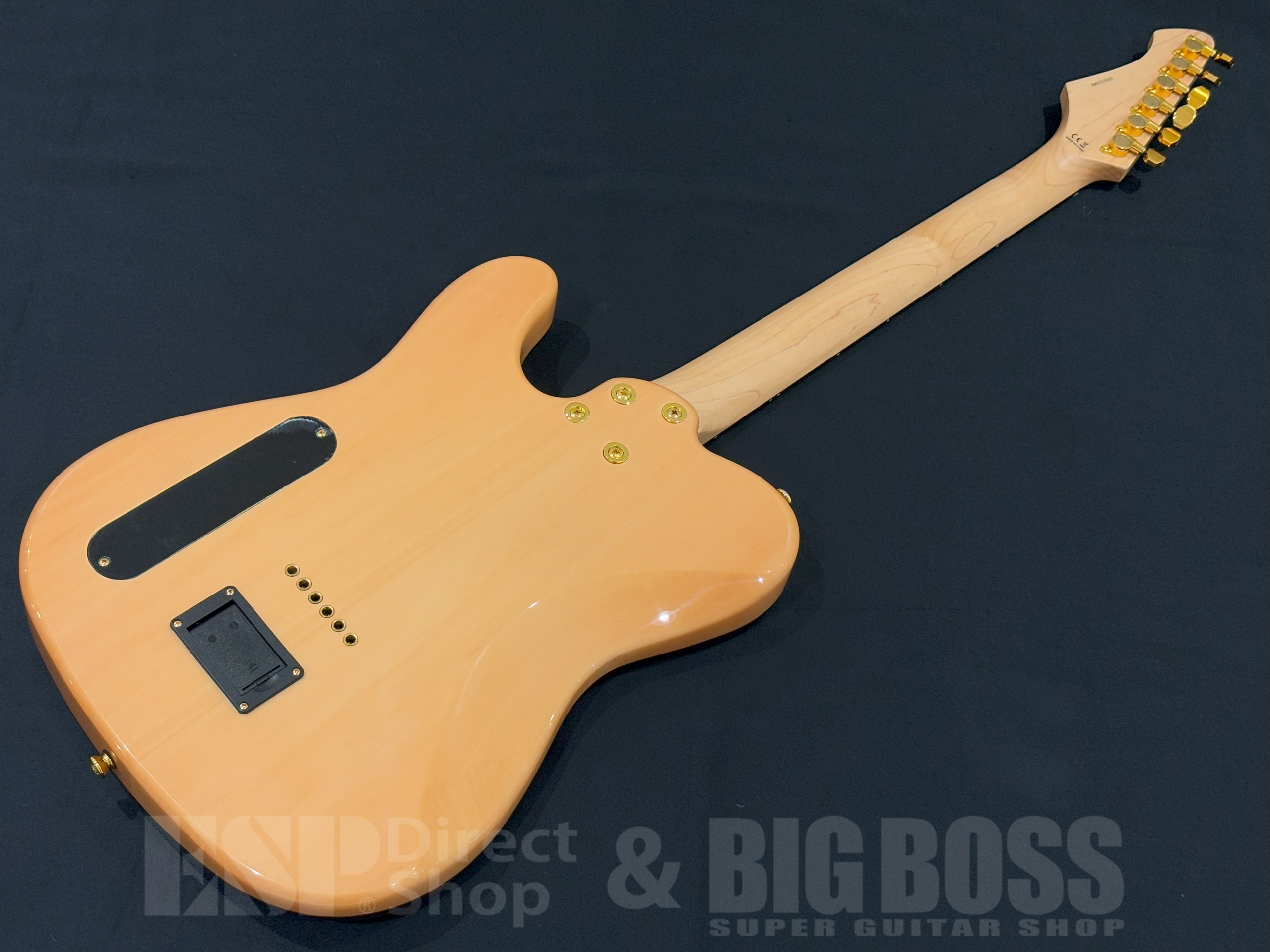 【即納可能/アウトレット】Aria Pro II TEG-780 / Natural 大阪店