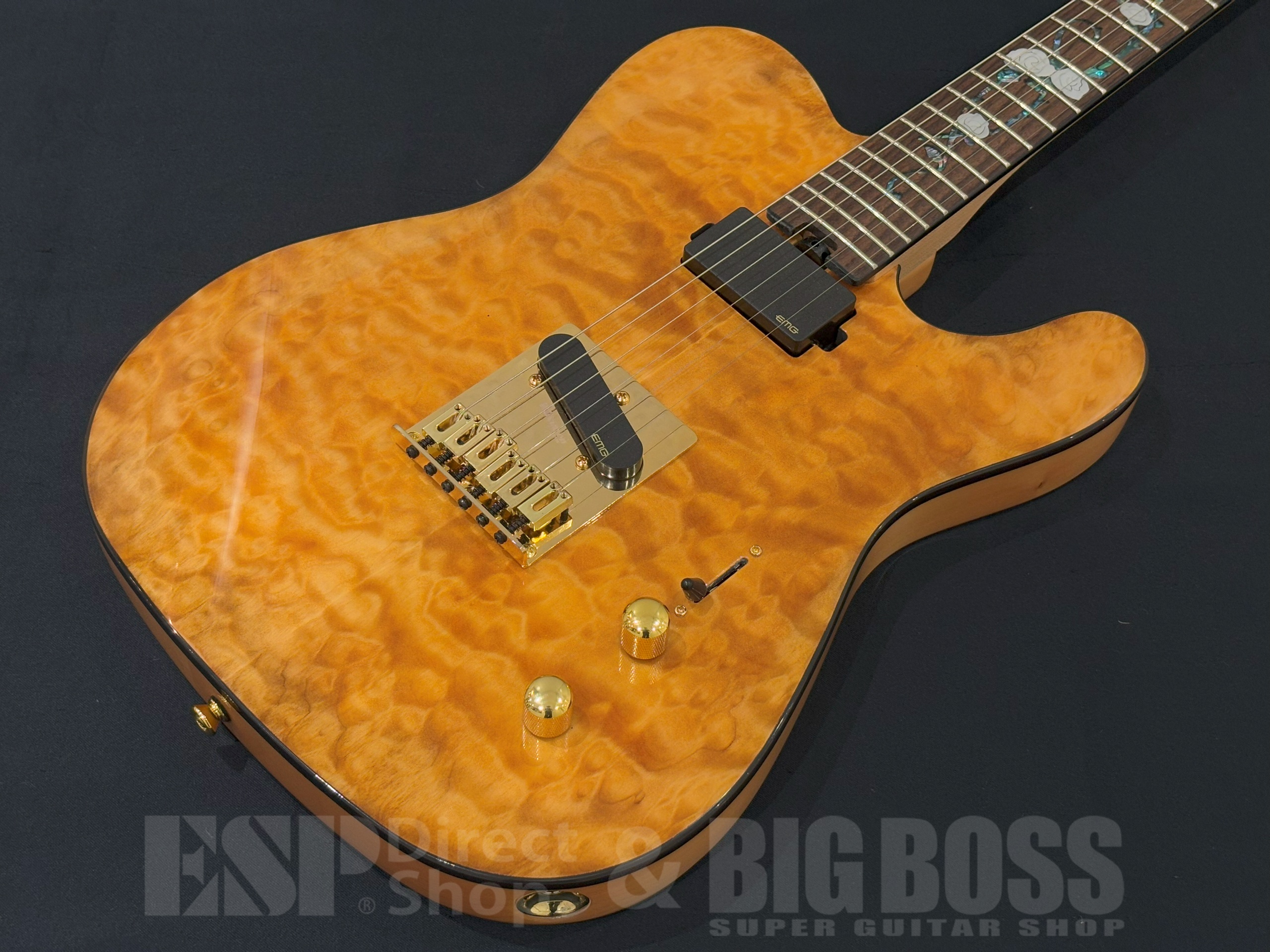 【即納可能/アウトレット】Aria Pro II TEG-780 / Natural 大阪店