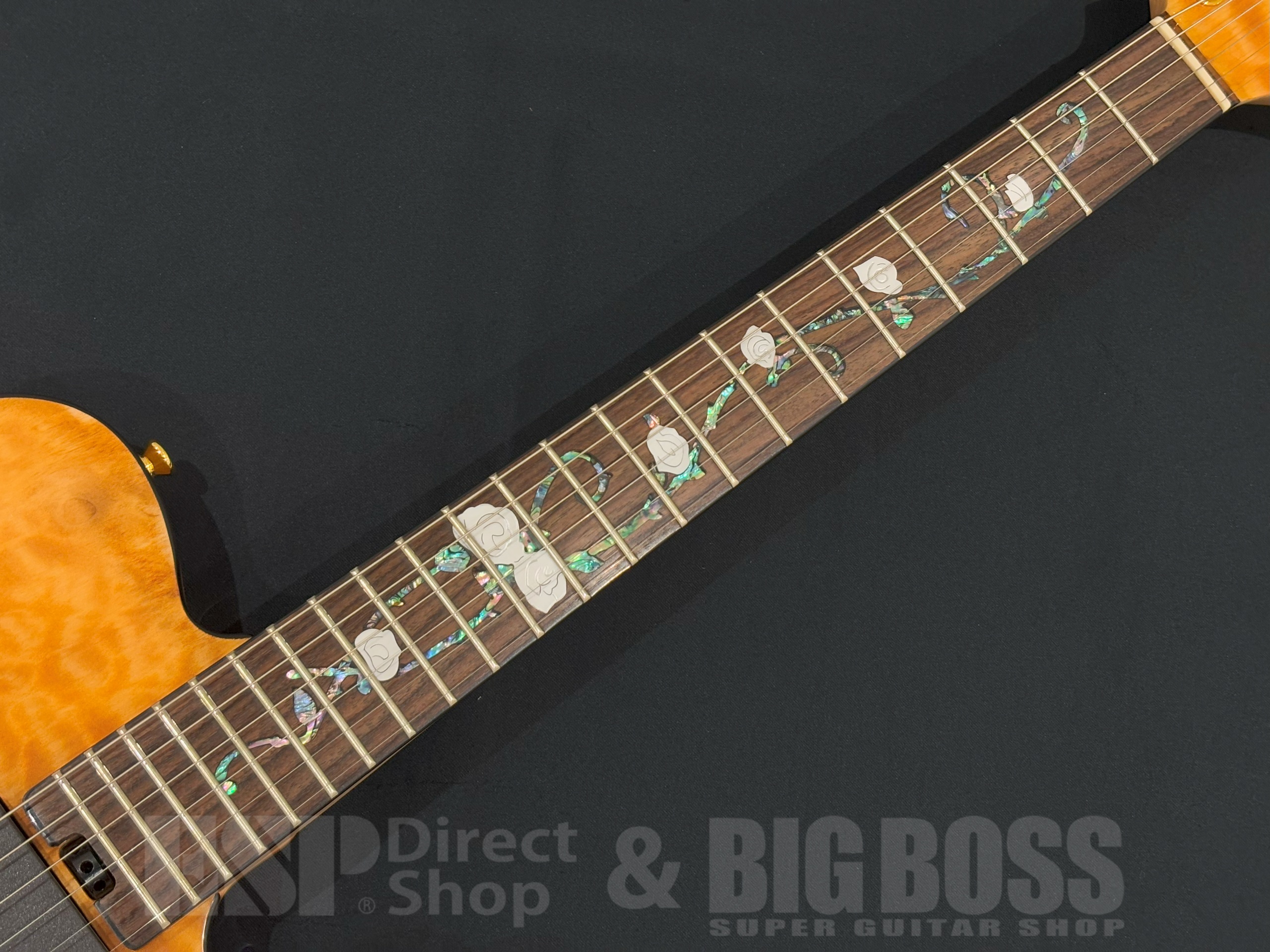 【即納可能/アウトレット】Aria Pro II TEG-780 / Natural 大阪店