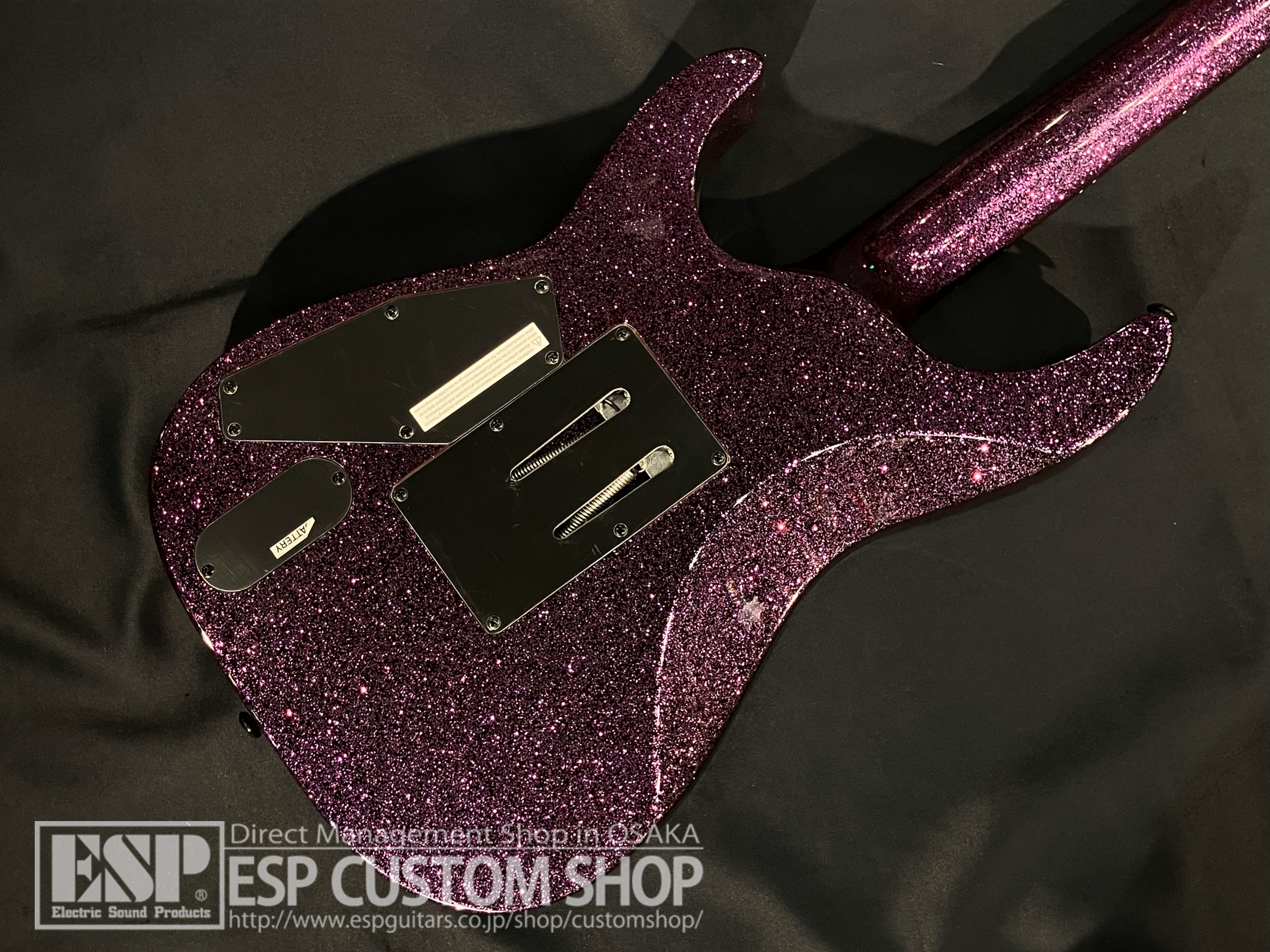 【即納可能】LTD（エルティーディー）KH-602 / Purple Sparkle (METALLICA Kirk Hammettモデル) 大阪店