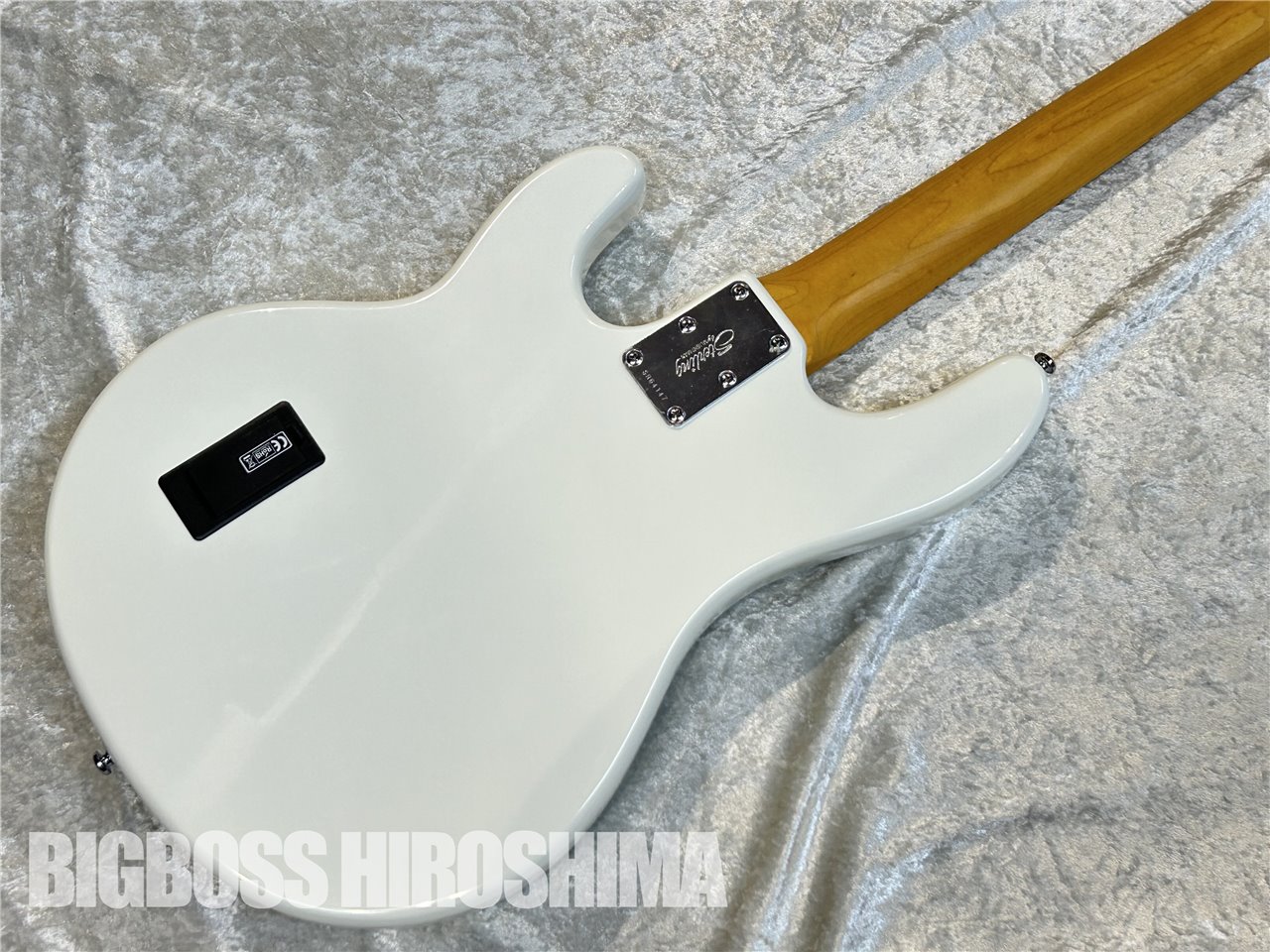 【即納可能】Sterling by MUSIC MAN RAY24CA / Olympic White 広島店