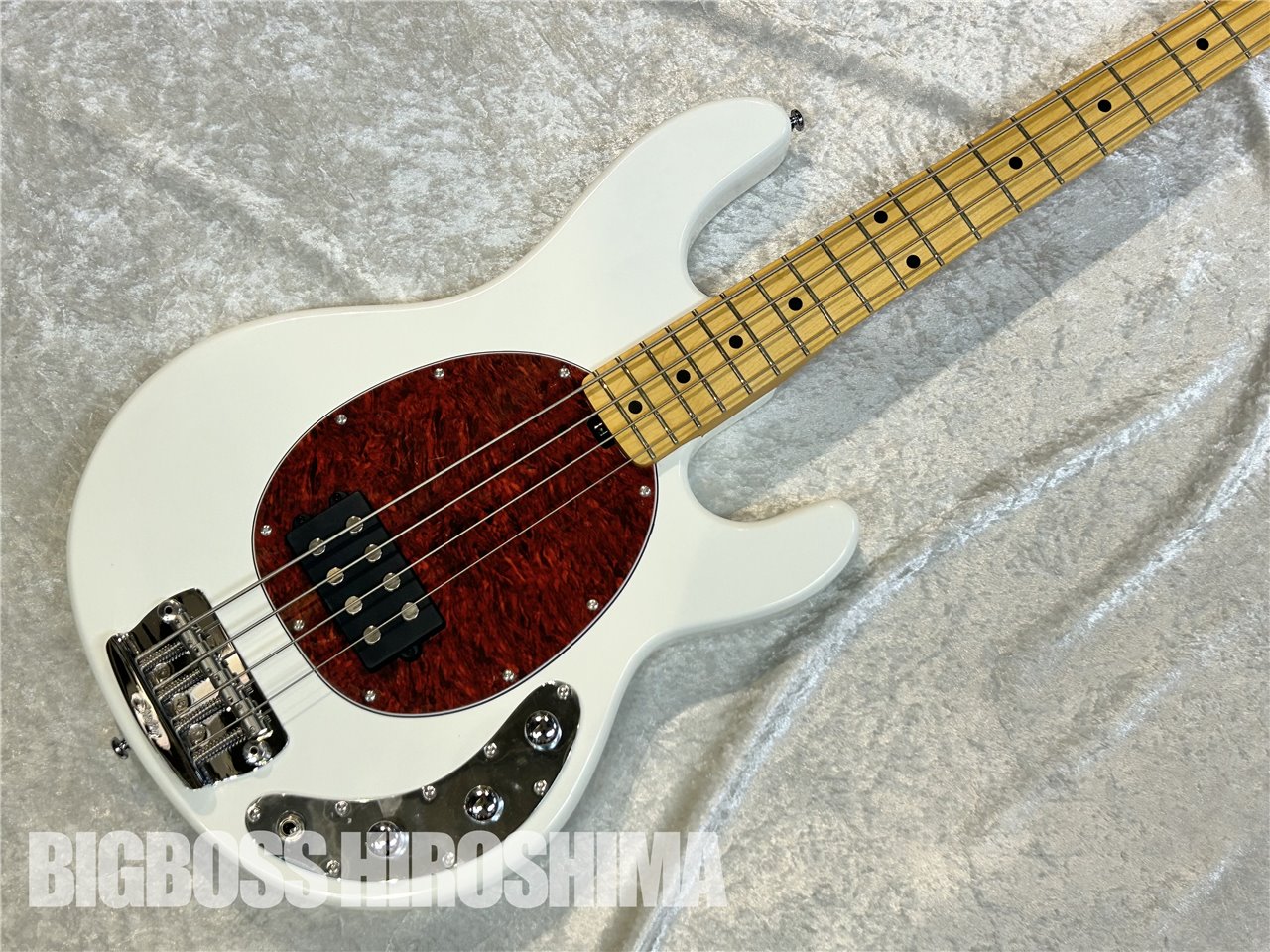 【即納可能】Sterling by MUSIC MAN RAY24CA / Olympic White 広島店